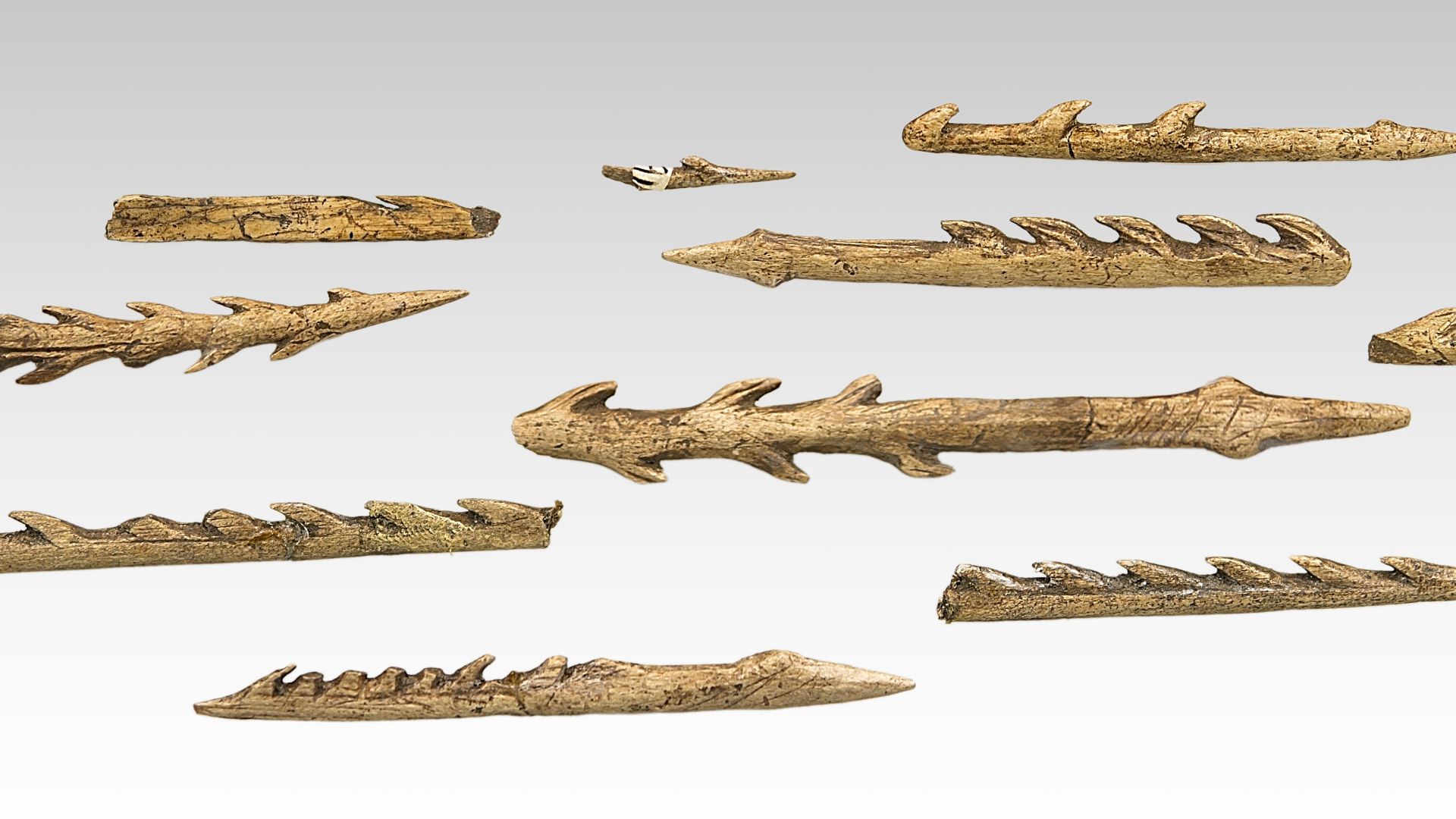 7. Harpons en os de Katanda