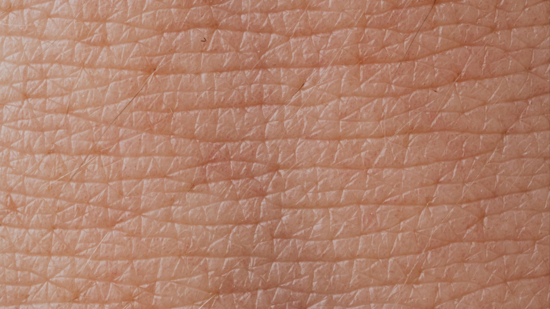 2. La peau se régénère après une blessure