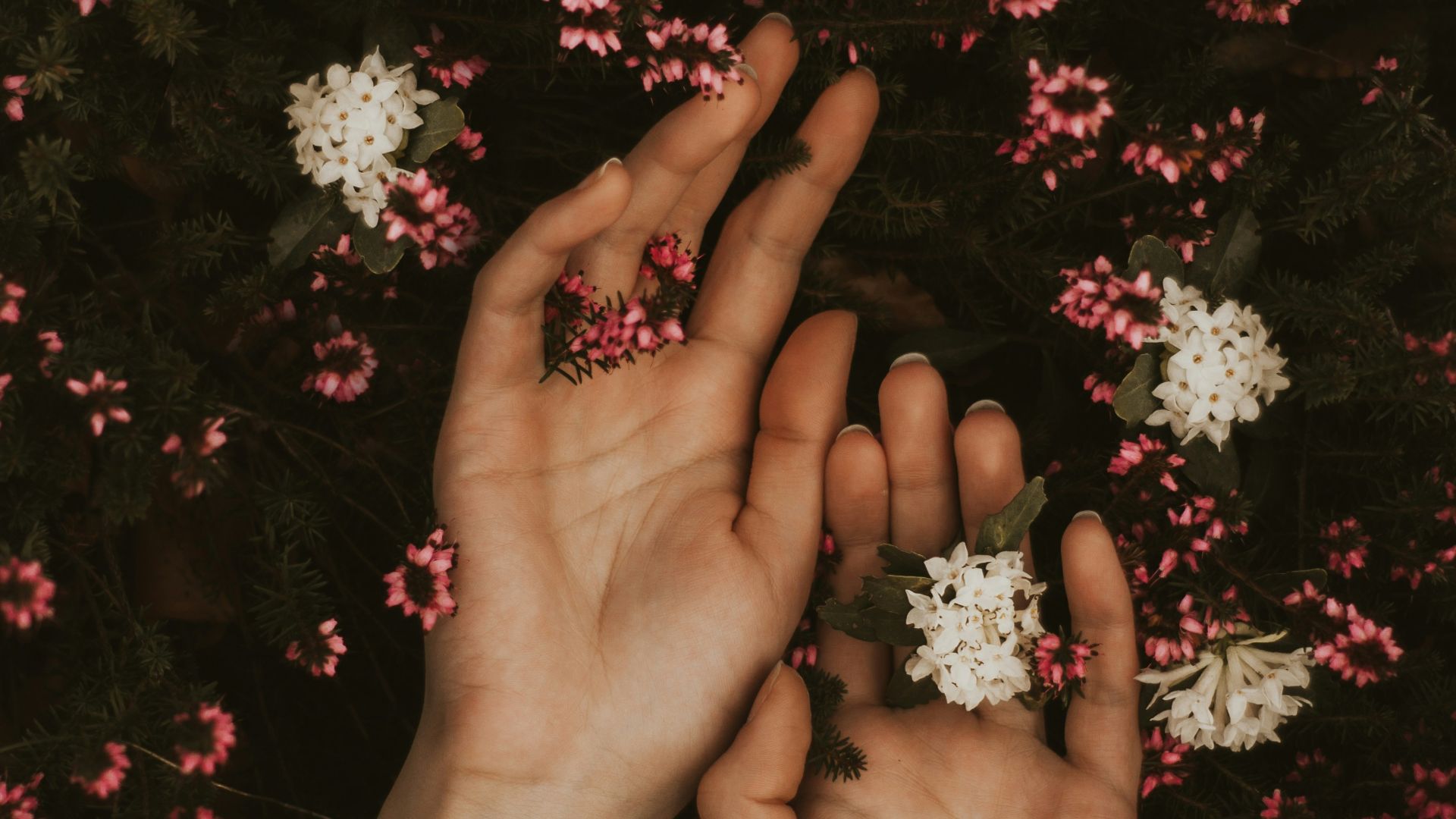 14. Des mains petites et délicates