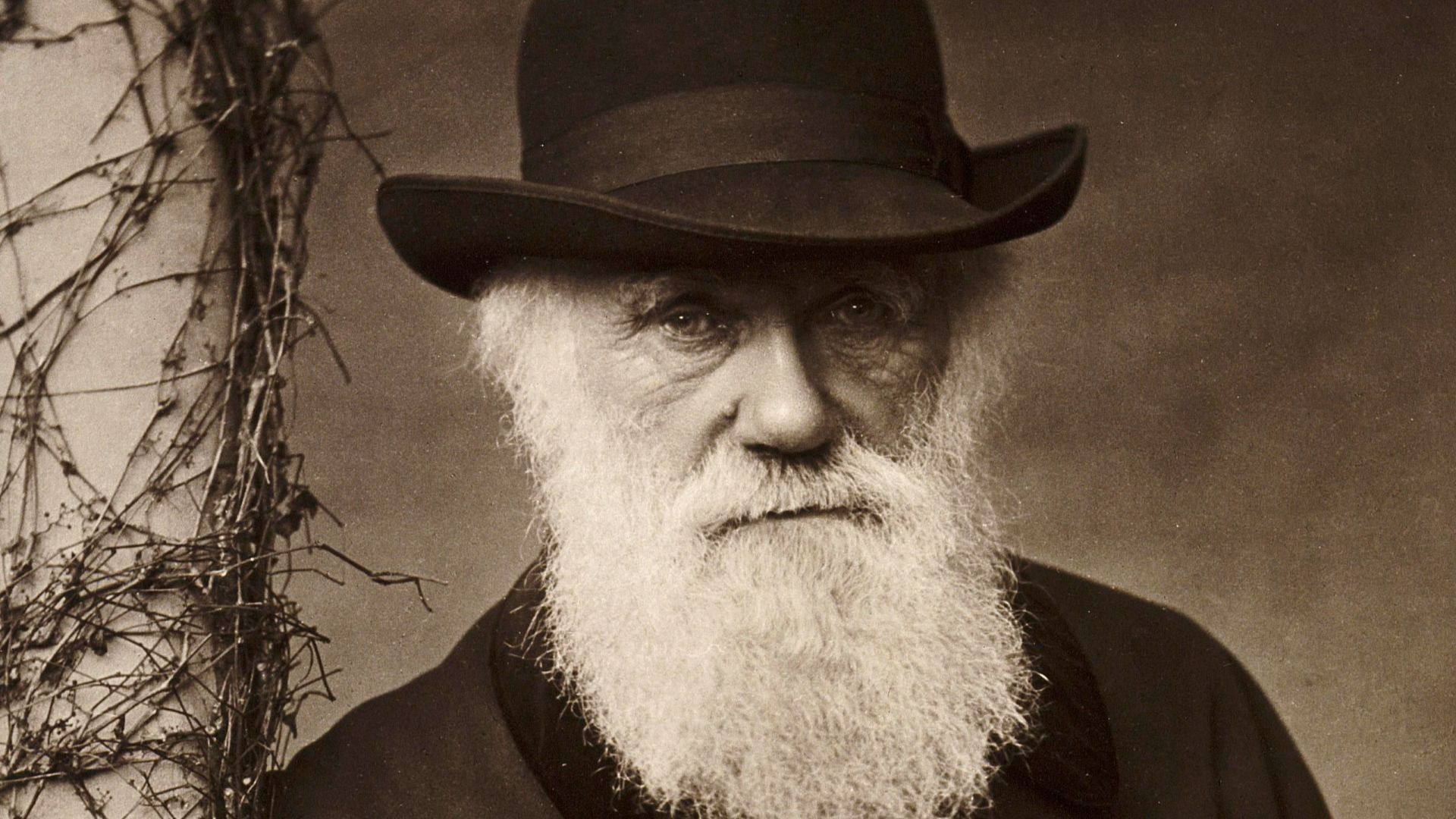 20 personnalités historiques qui ont connu un échec total jusqu’à l’âge de 40 ans