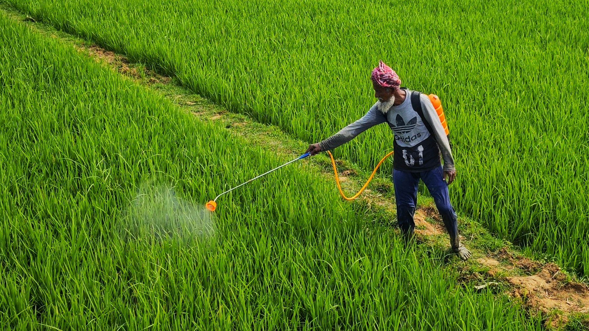 8. Engrais chimiques