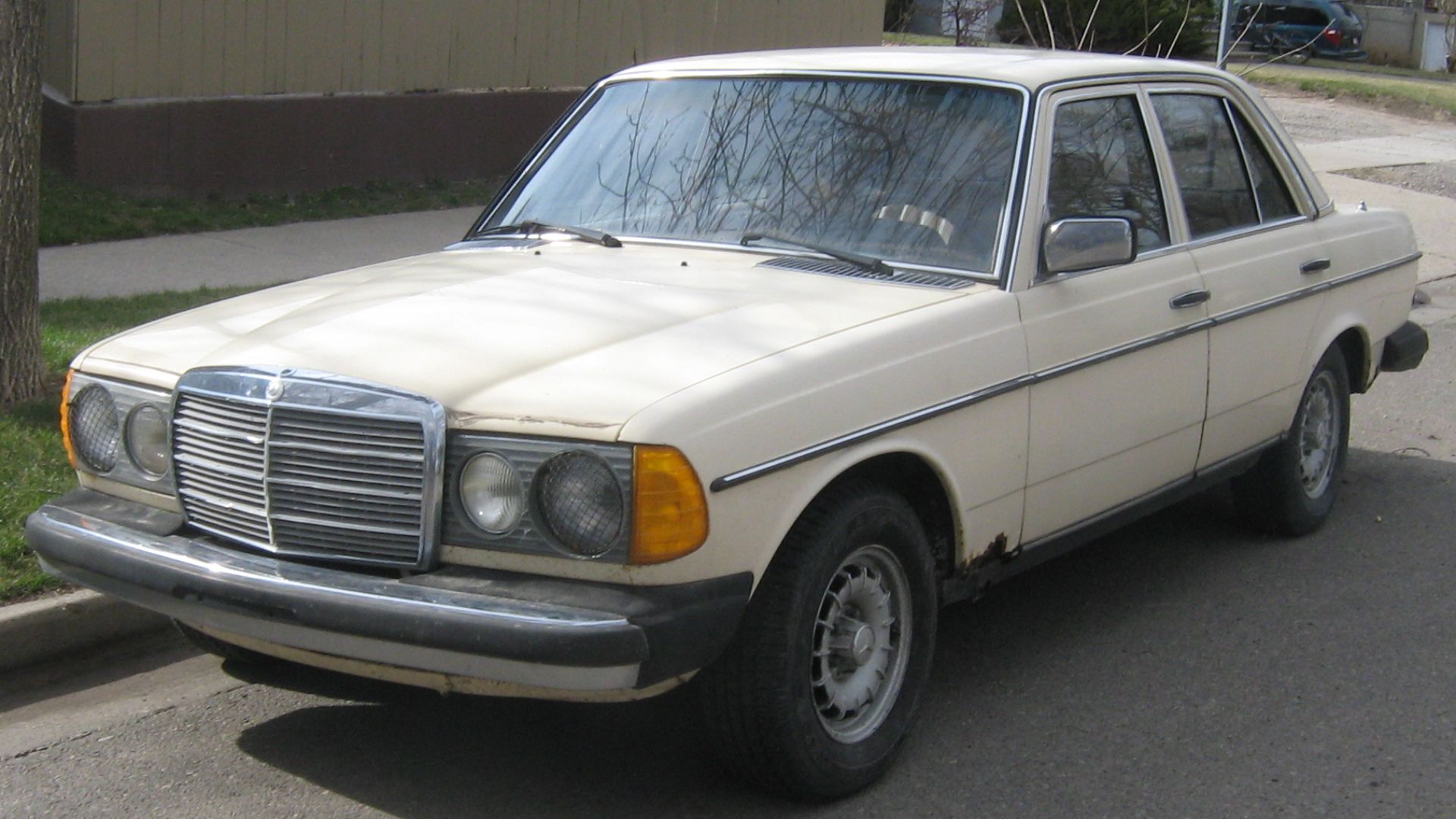 19. Mercedes-Benz 300D (W123)