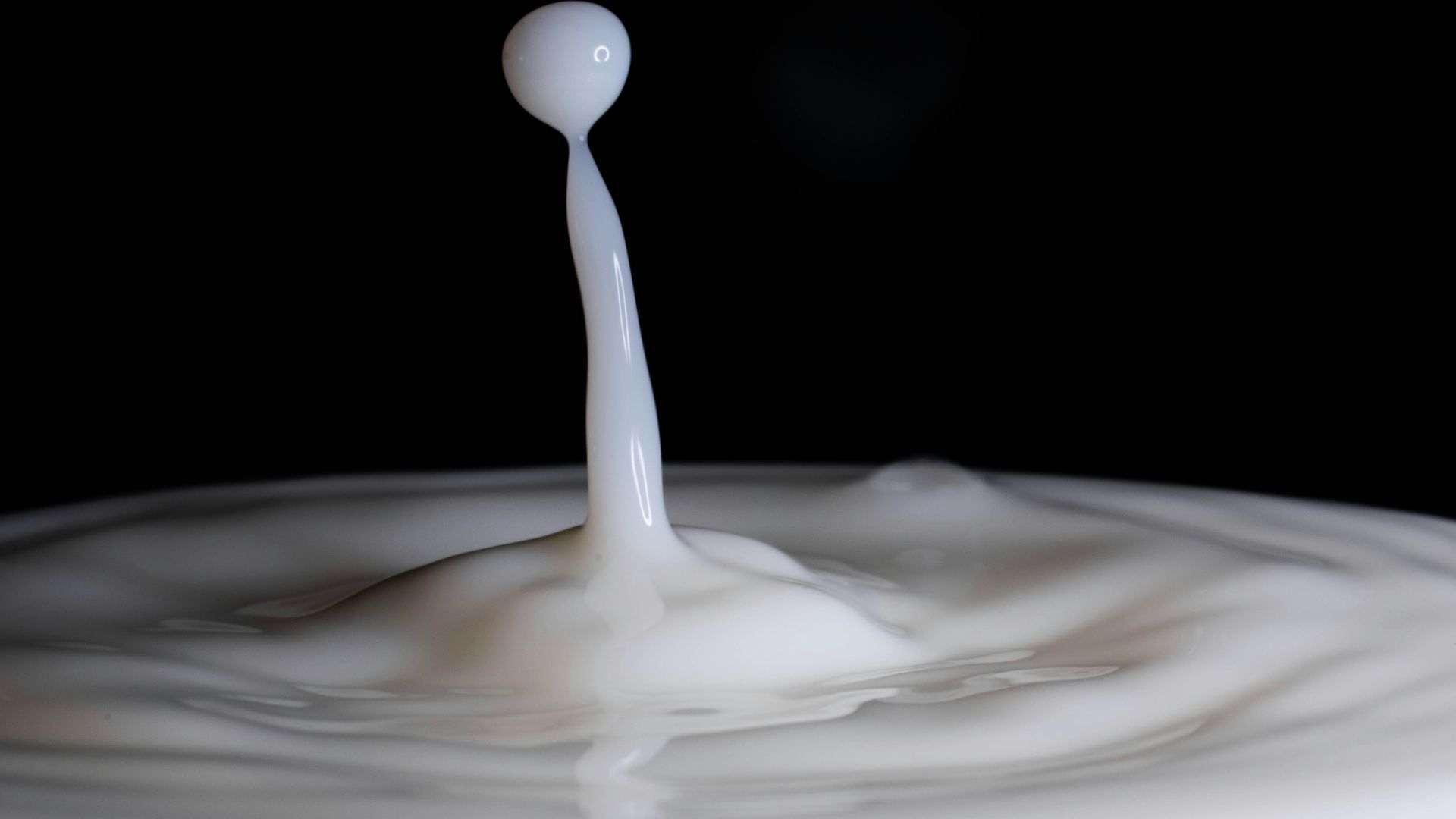 4. Lait écrémé