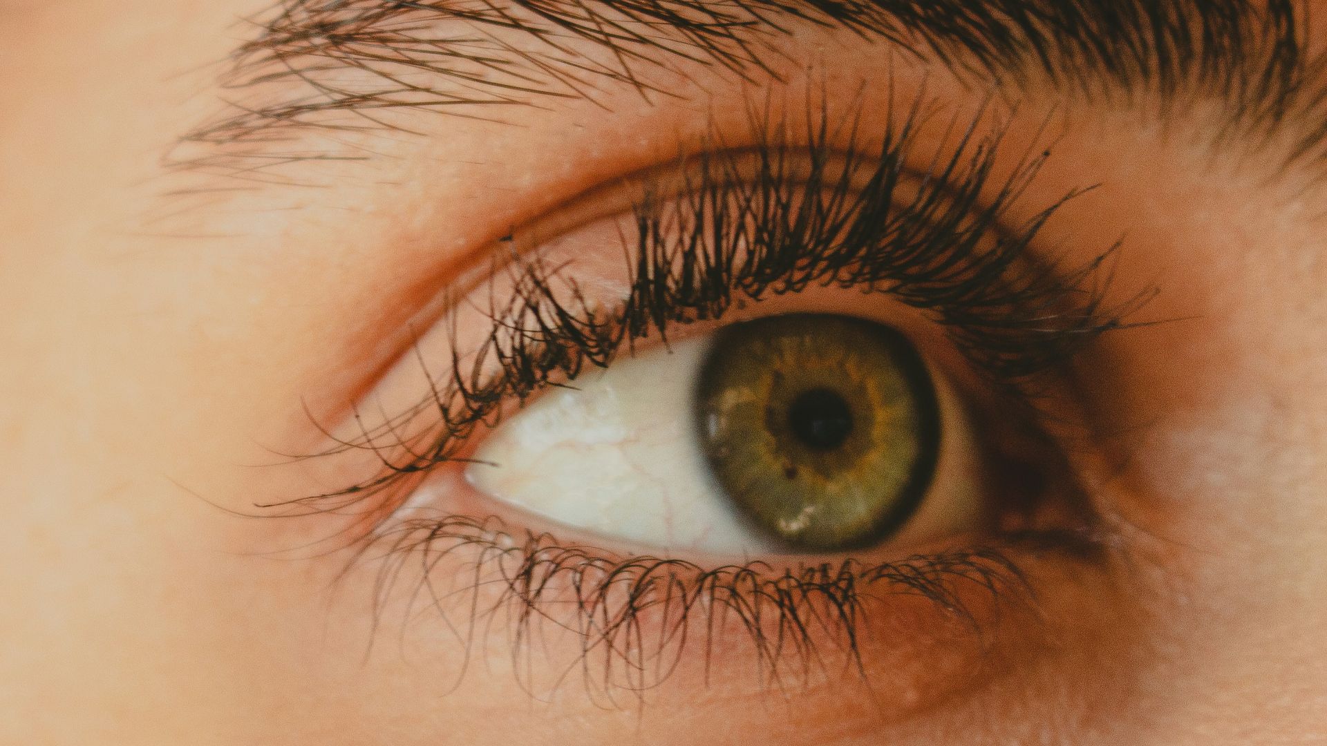 13. Vos cils retiennent de minuscules particules