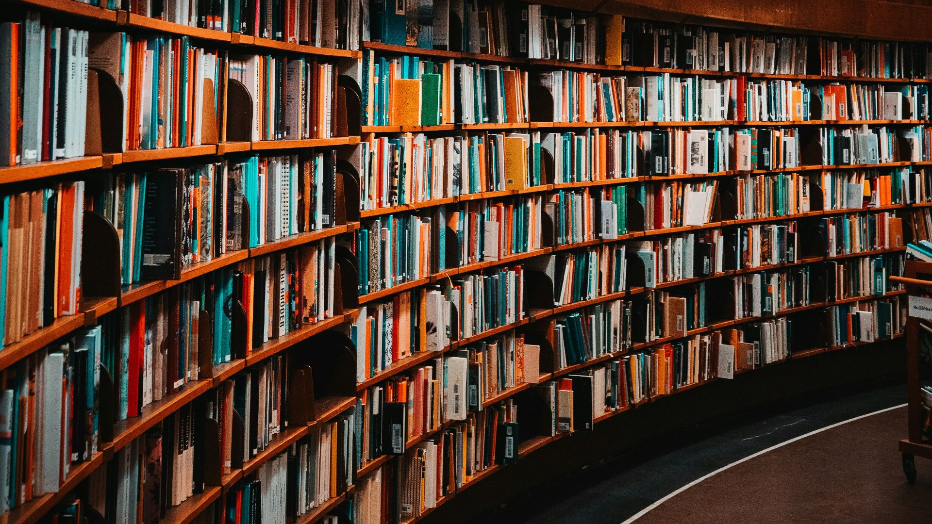 19. La bibliothèque « No-Woman » de T.M. Zink