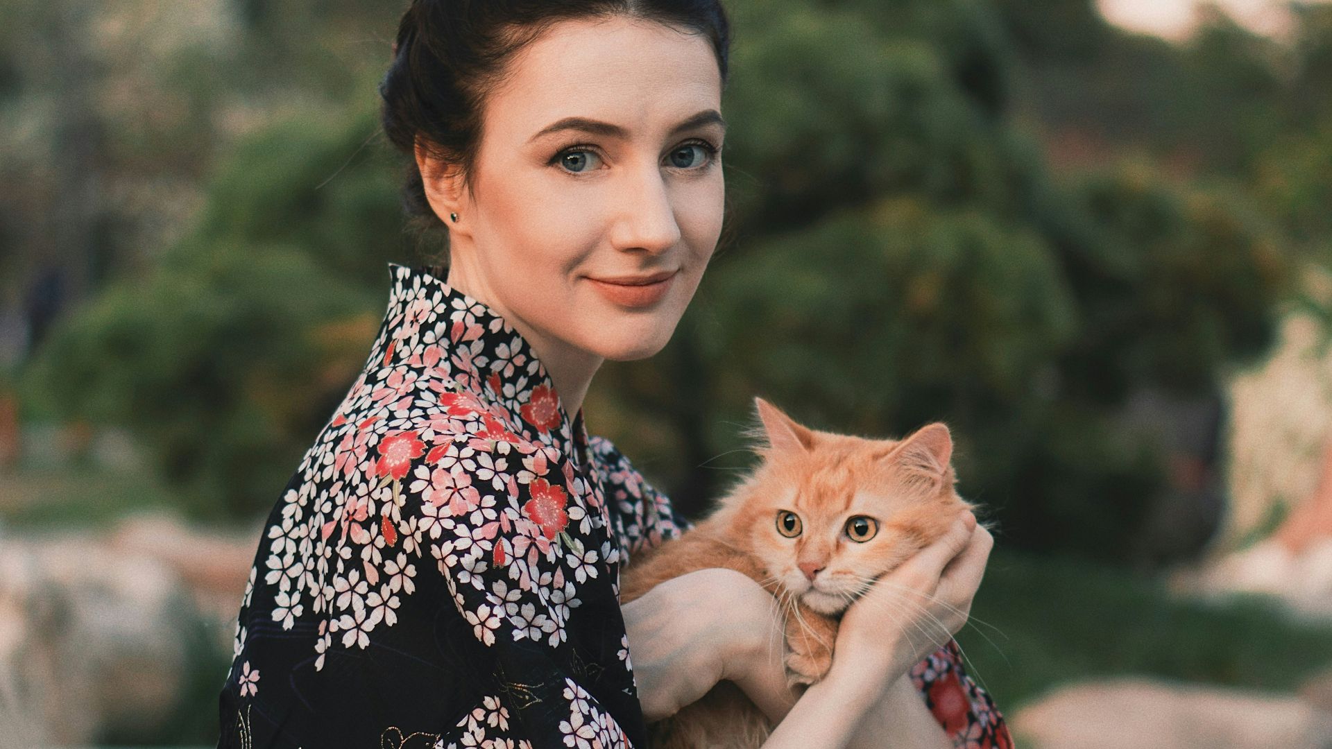 2. Votre pellicule est principalement remplie de photos de chats