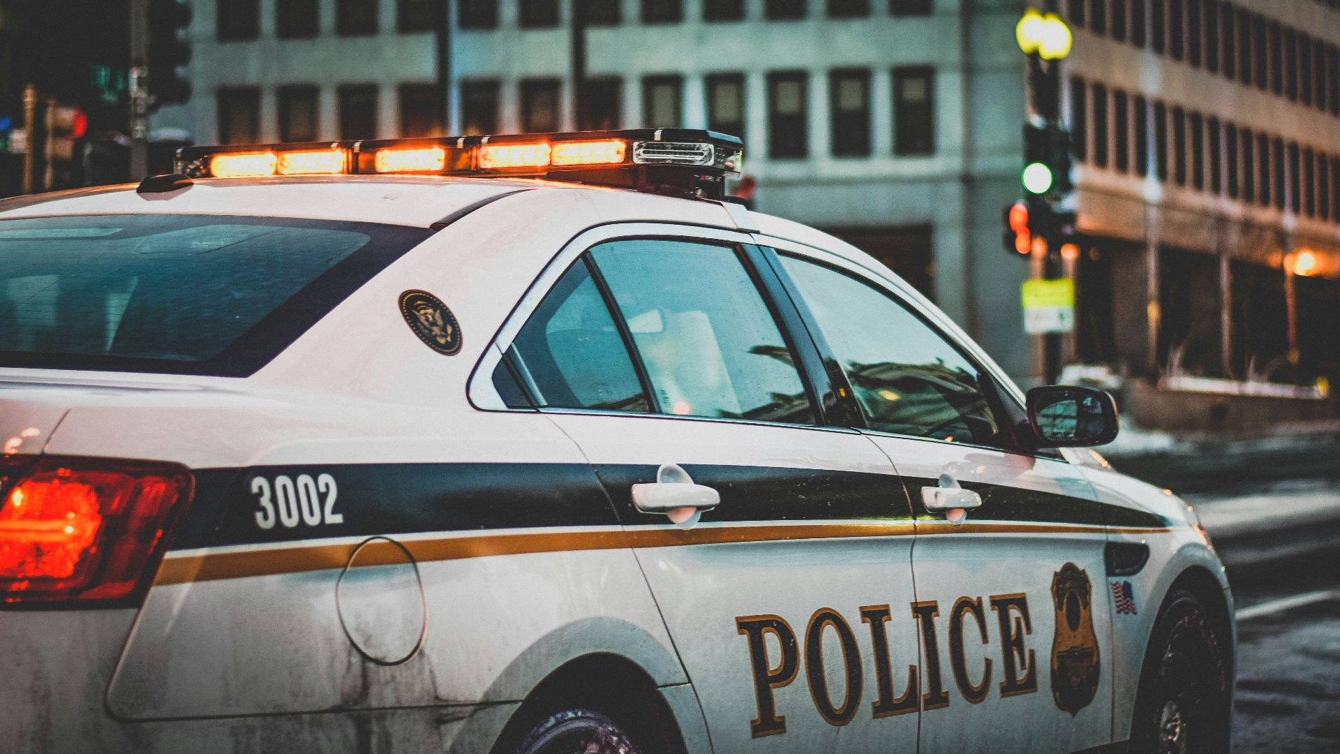 6. La ruse d'Amy Mihaljevic