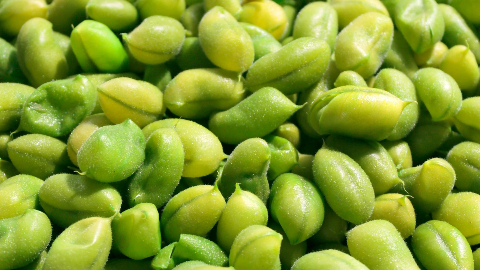 12. Edamame