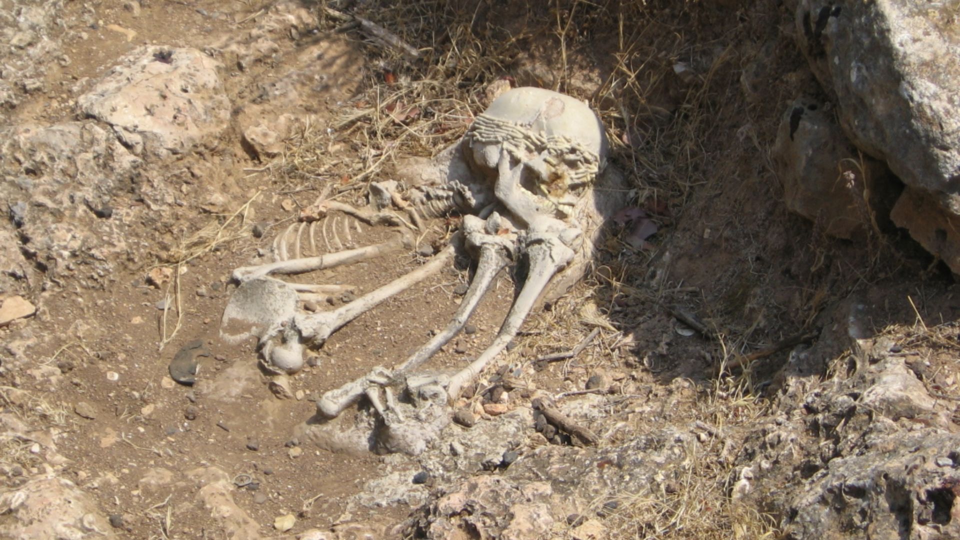 14. Sépultures natoufiennes, au Levant