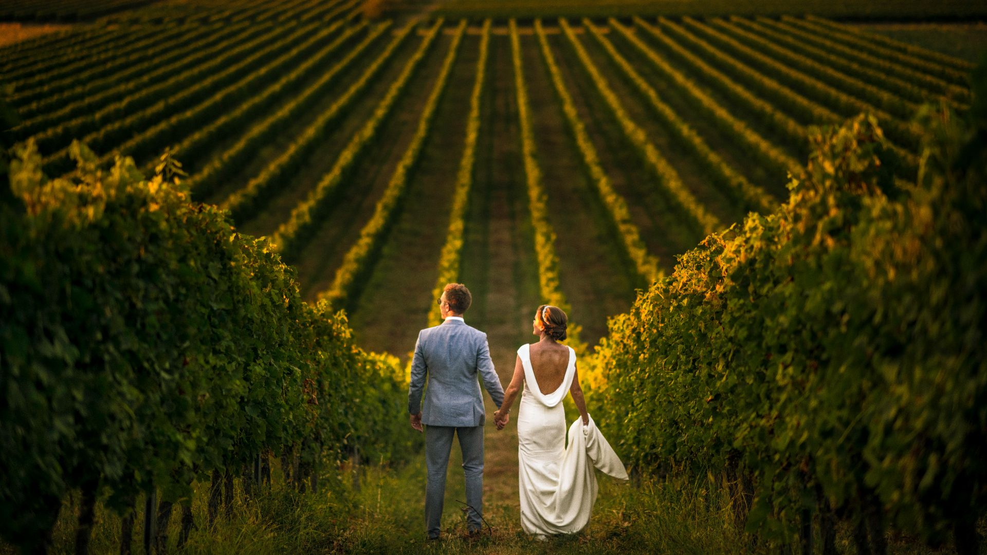 5. Vignobles