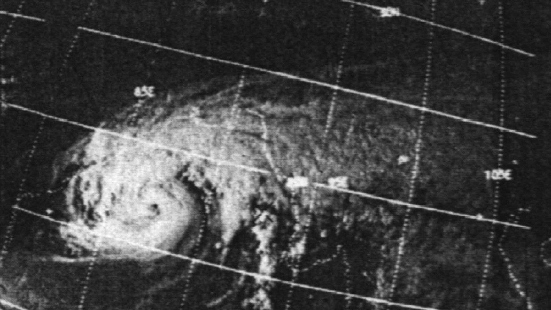 6. Le nombre de victimes est généralement estimé entre 300 000 et 500 000