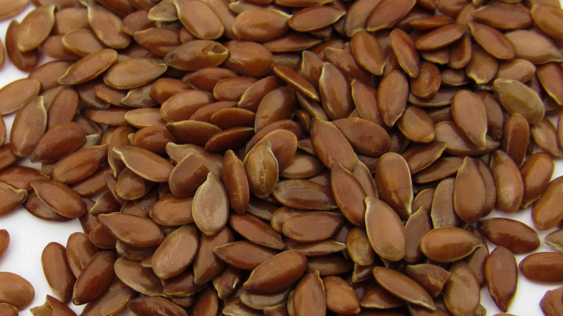 13. Graines de lin moulues