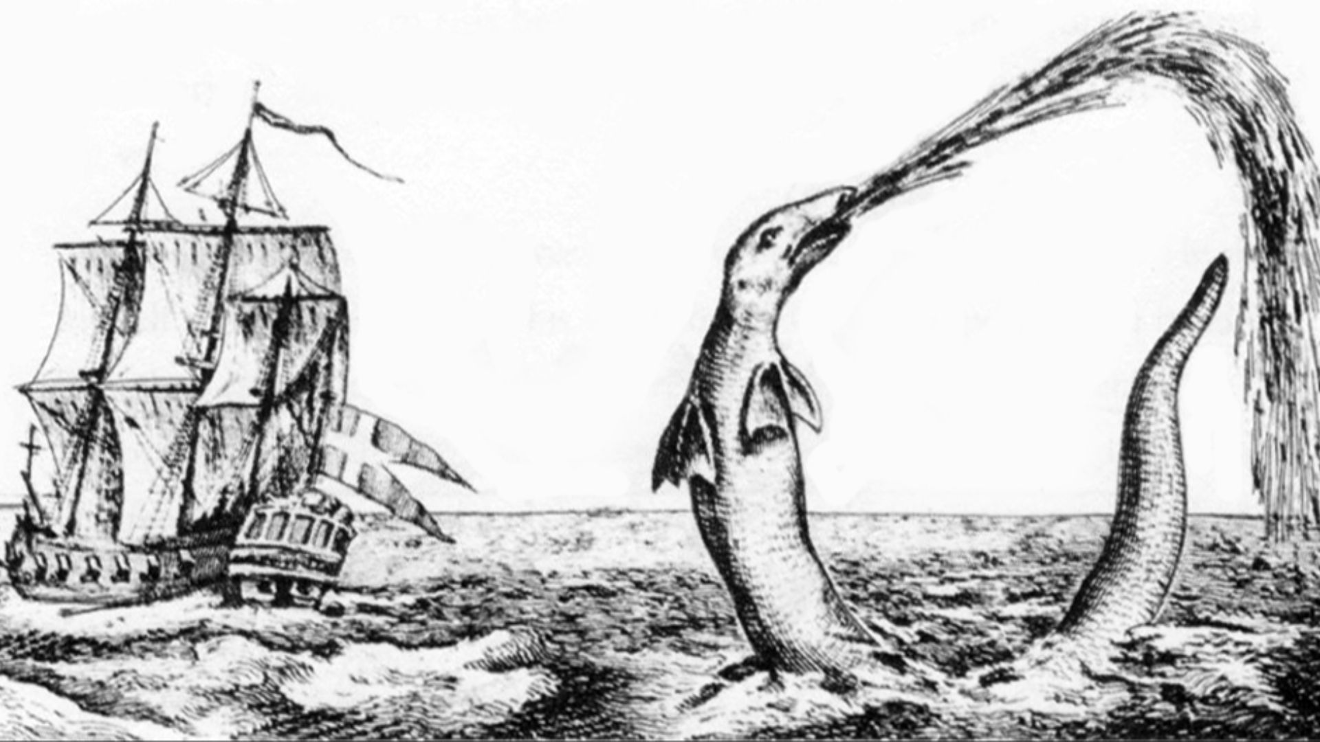 7. Les serpents de mer