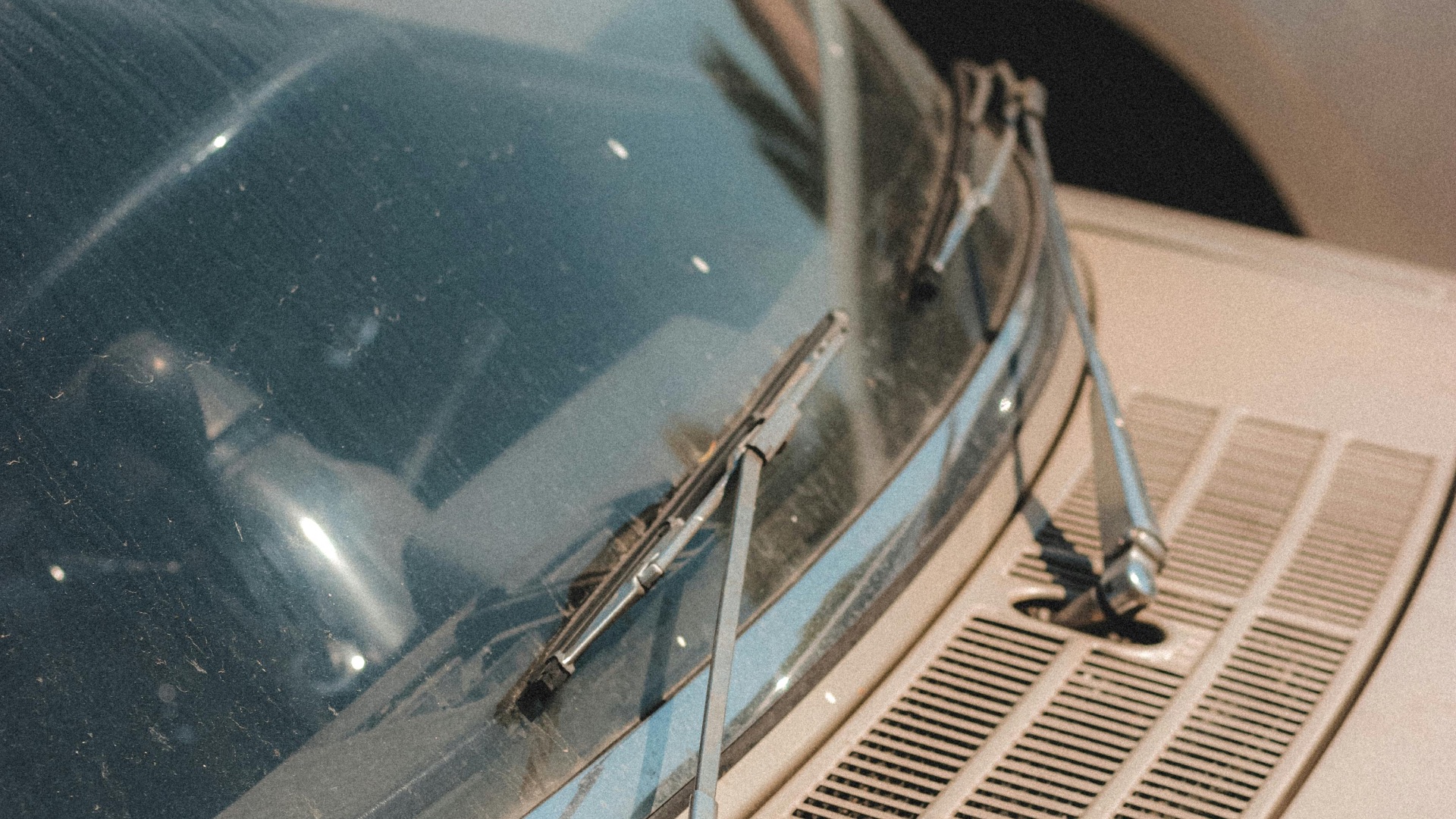 12. L'épidémie de piqûres sur les pare-brise à Seattle