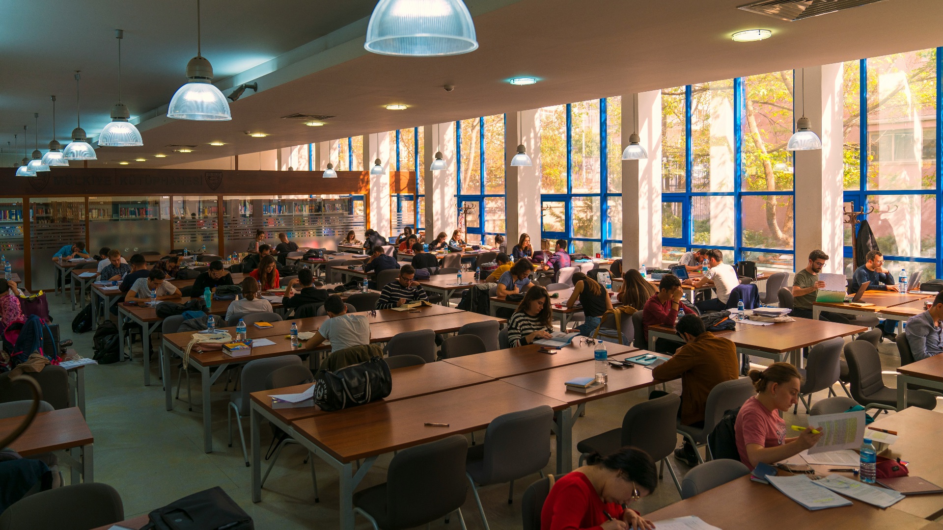 8. Structures institutionnelles au sein des établissements scolaires