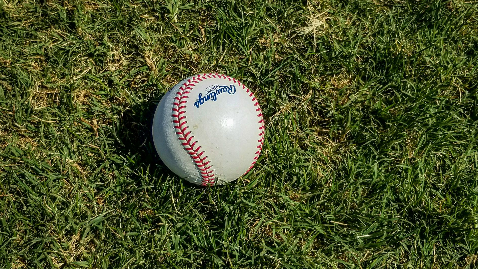 8. L'accident mortel de Mike Coolbaugh survenu alors qu'il entraînait