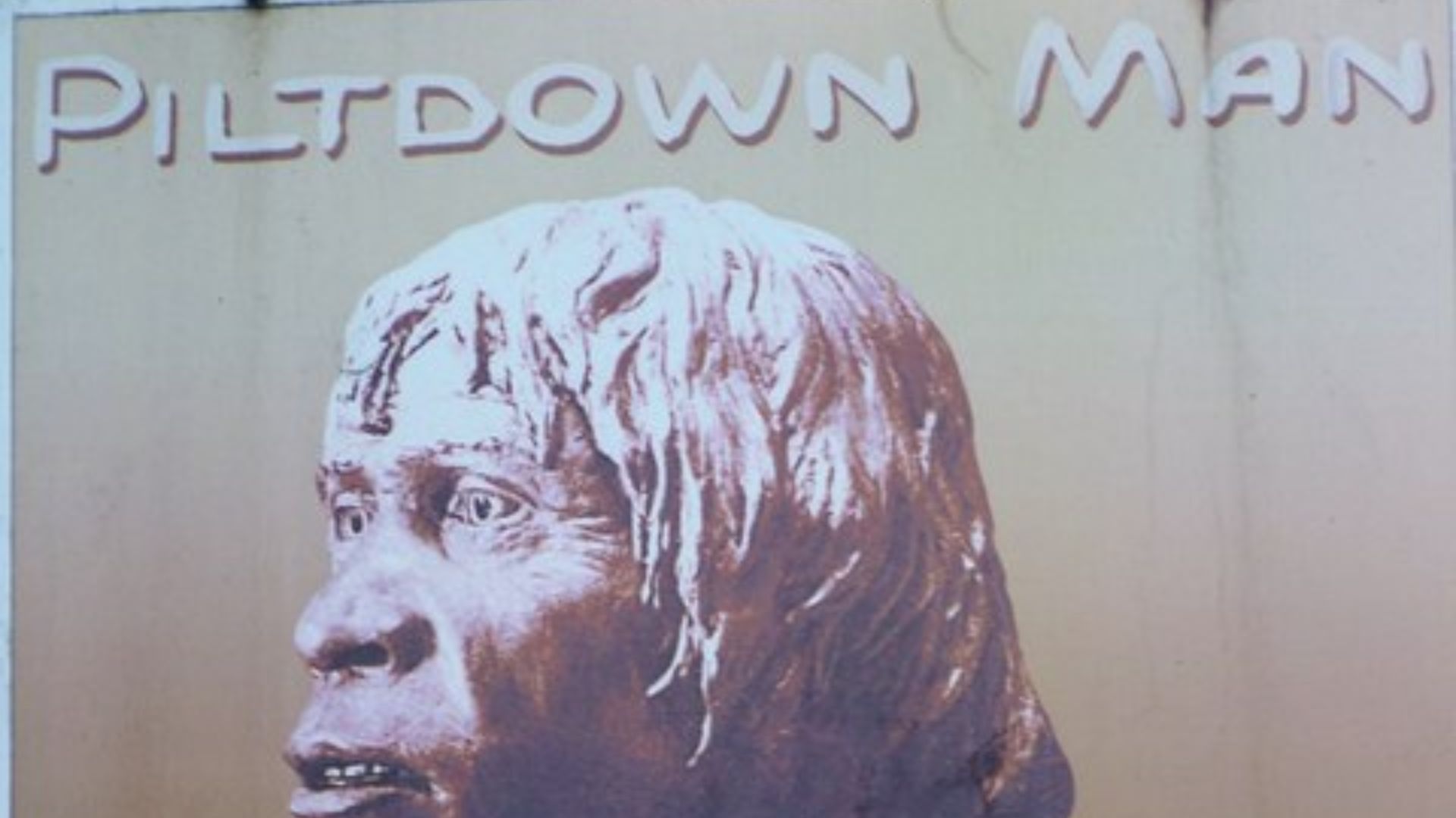 20. L'homme de Piltdown