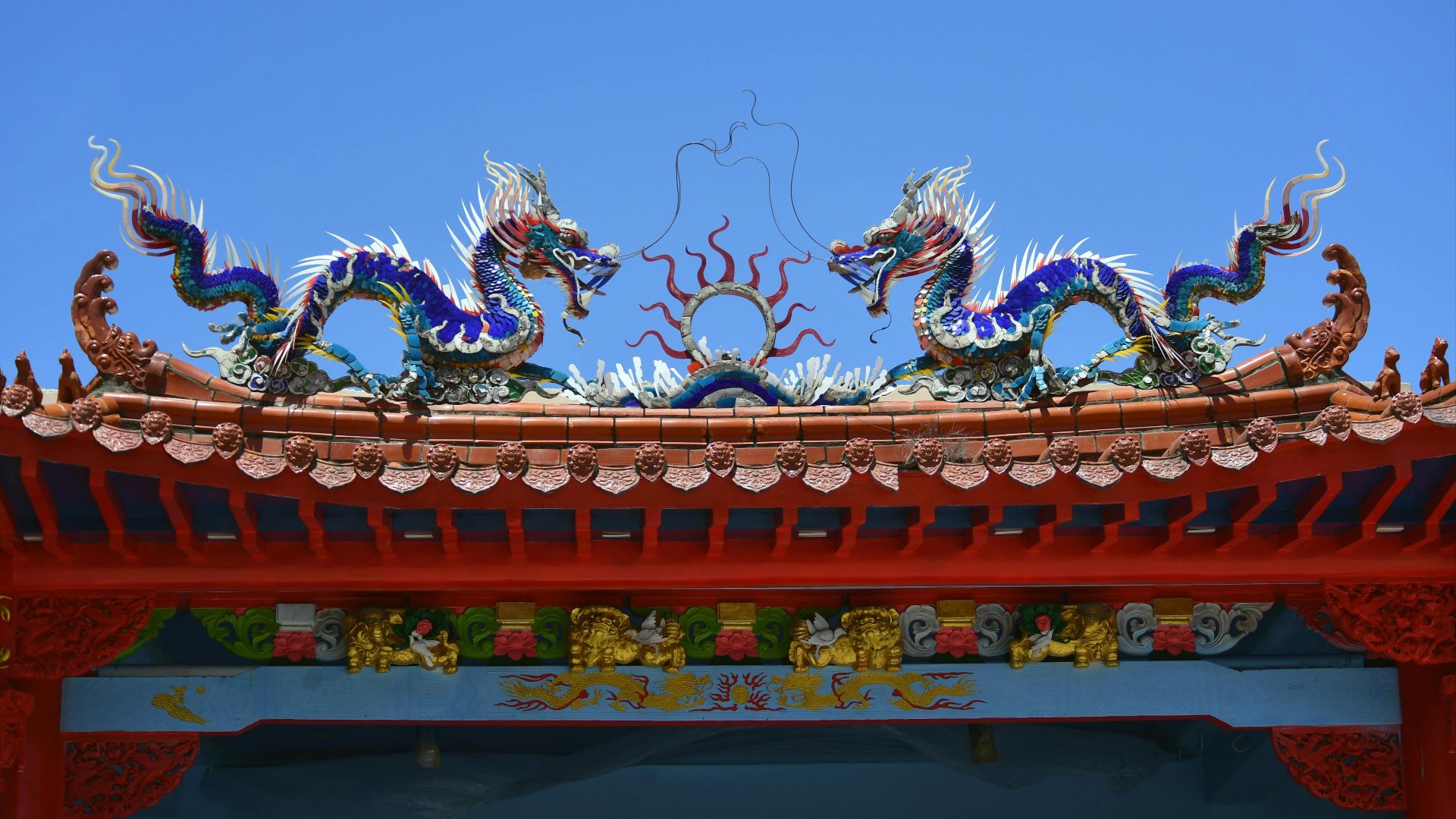 2. Un animal à quatre pattes doté d'ailes rompt le schéma des tétrapodes