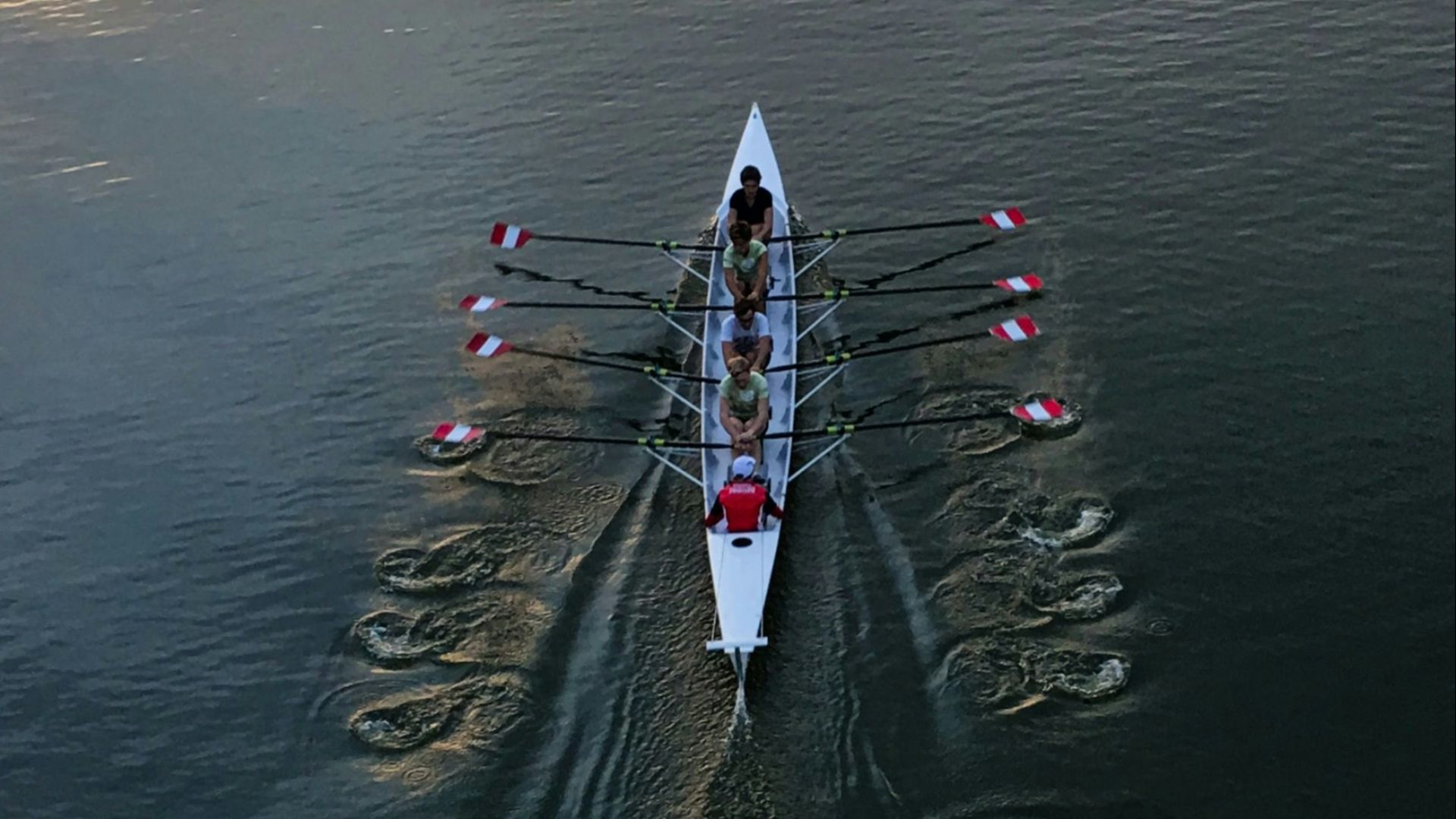 5. Aviron