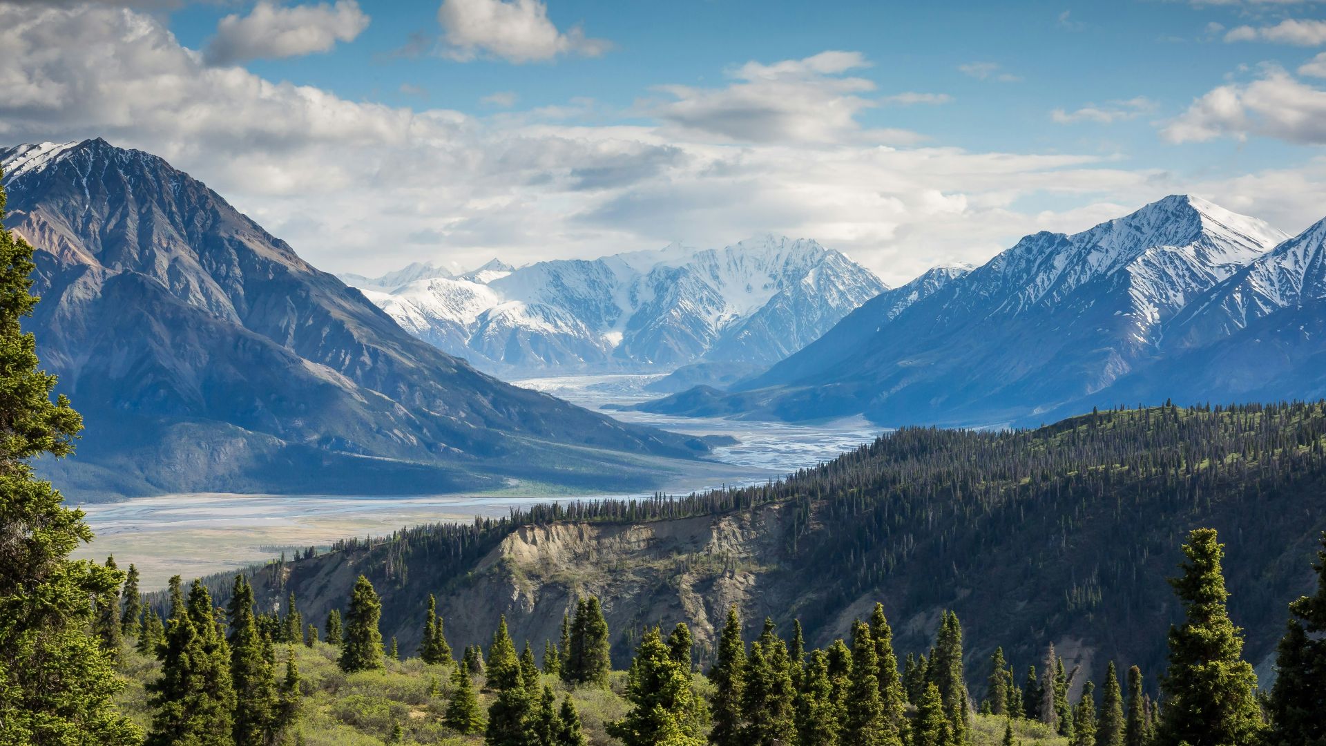 13. Les dinosaures d'altitude