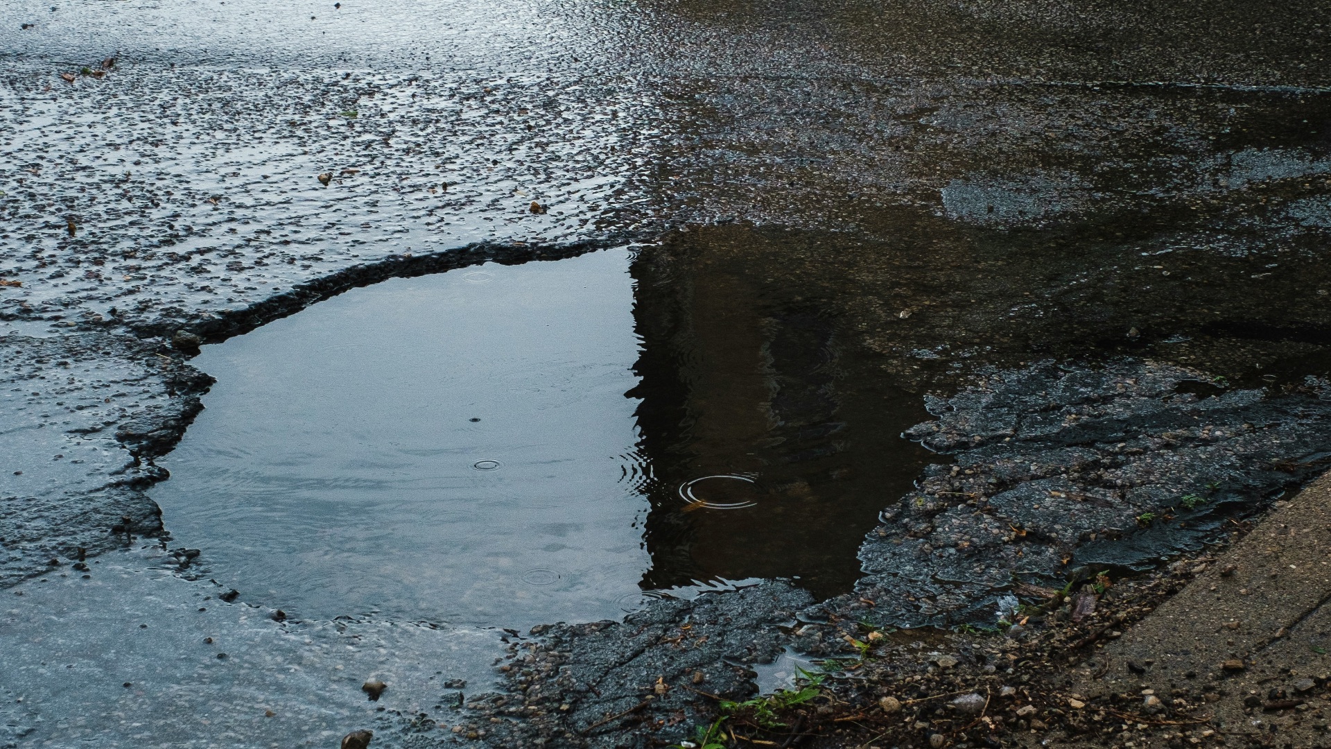 3. S'approcher d'une eau stagnante à l'extérieur