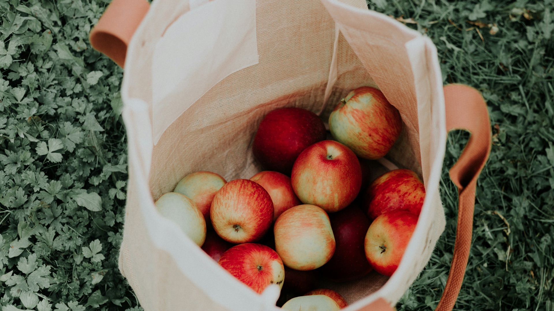 15. Sacs réutilisables