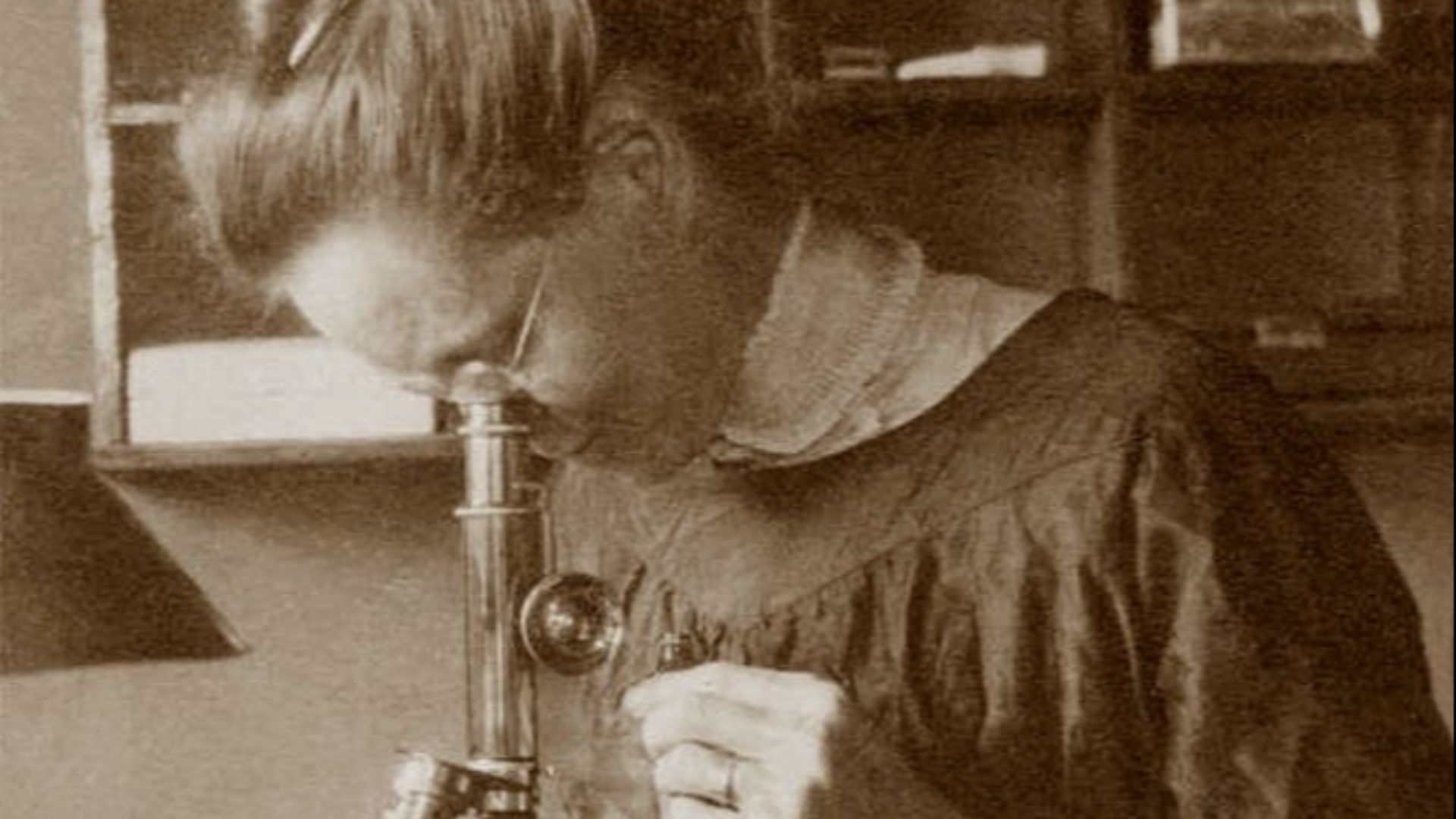 8. Nettie Stevens et les chromosomes sexuels