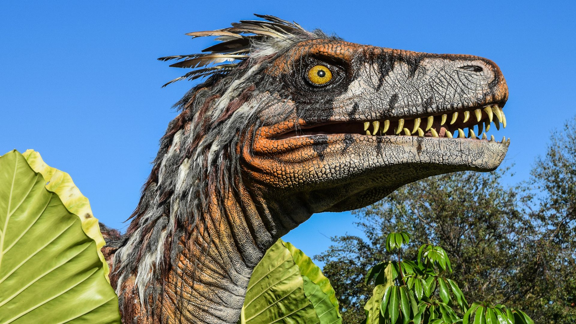 1. Les vraies couleurs des dinosaures