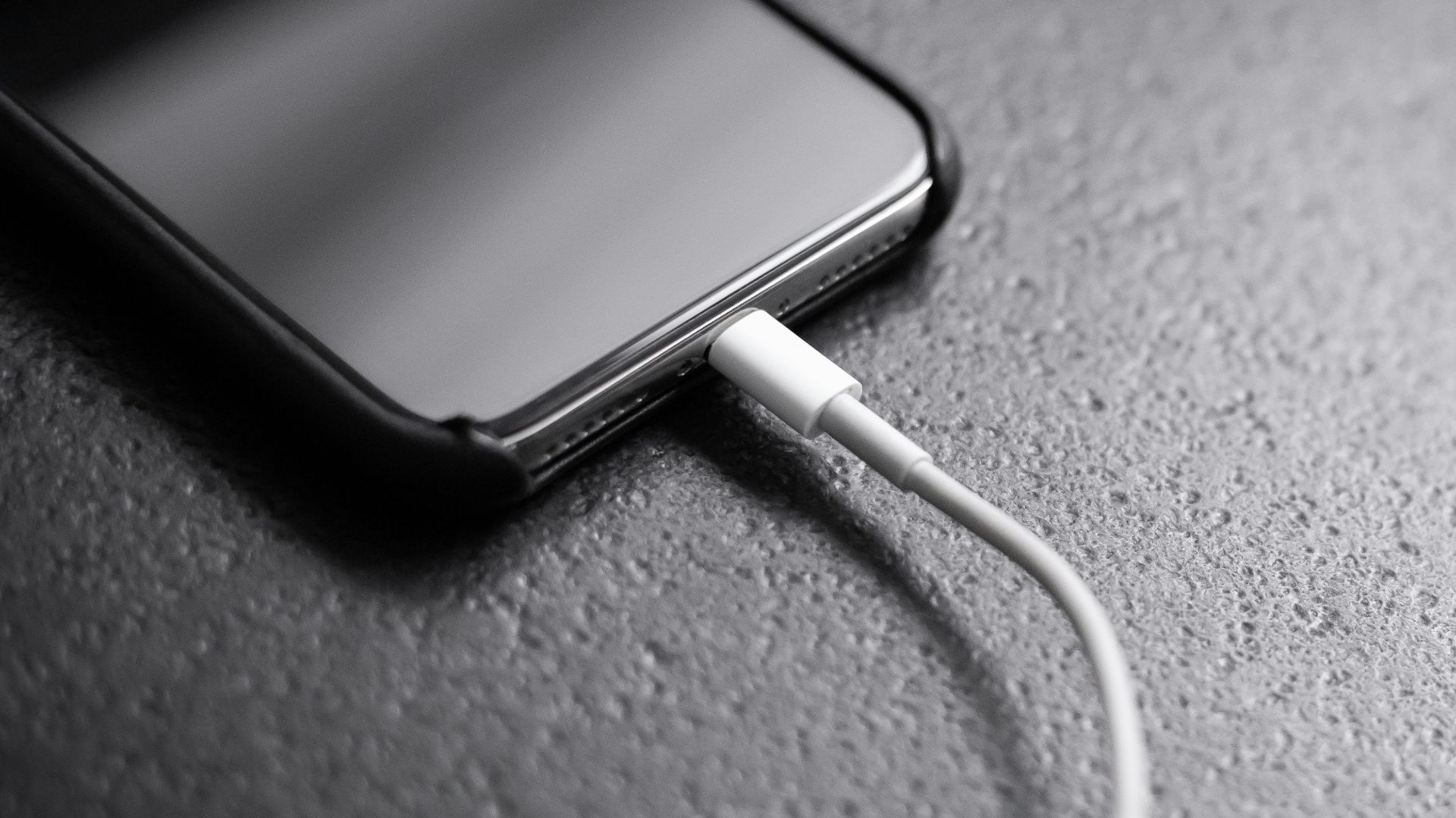 3. Transporter leurs affaires quotidiennes