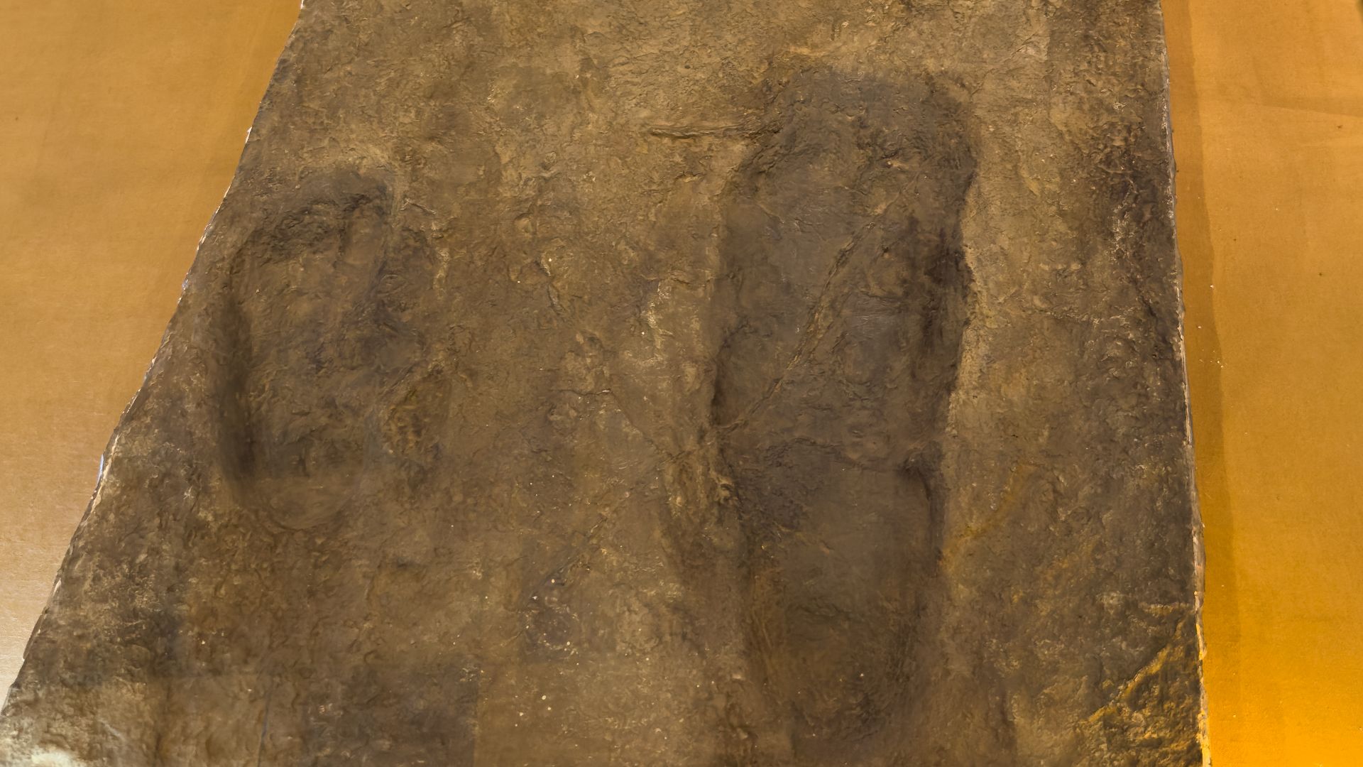 10. Les empreintes de Laetoli