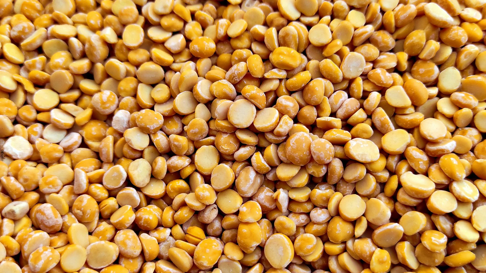 3. Lentilles