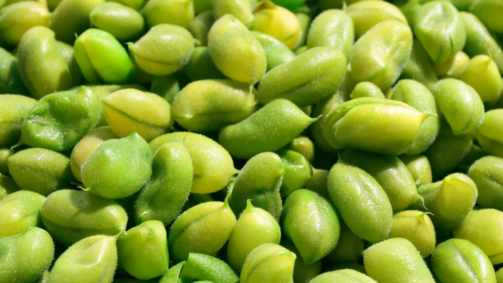 15. Edamame
