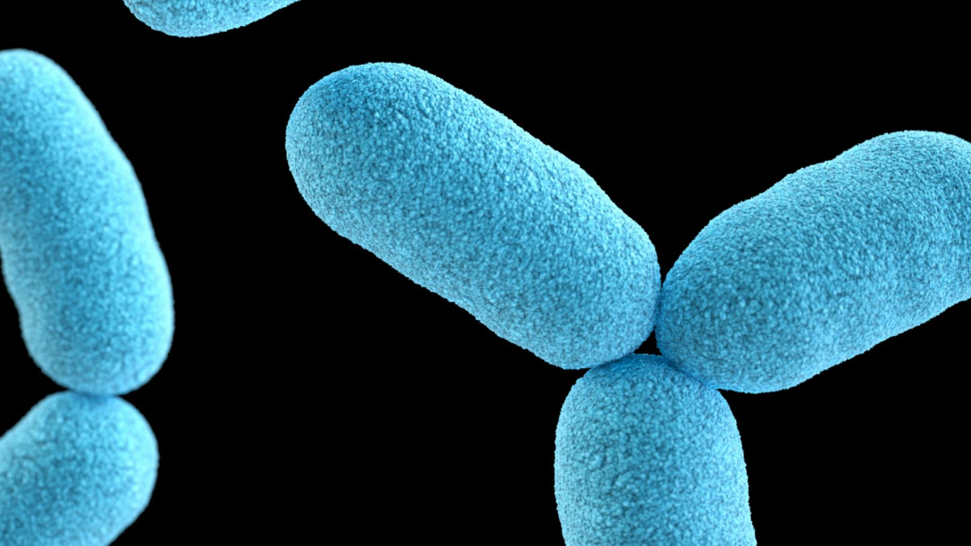 19. Le grand événement d'oxydation