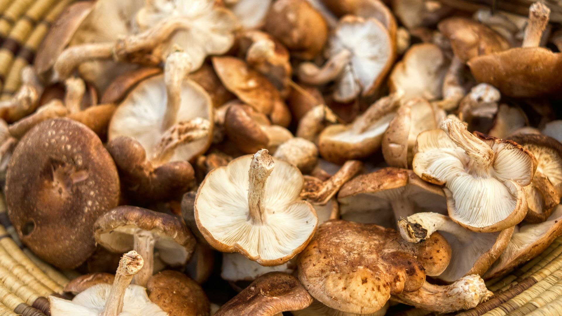 19. Les champignons shiitake pour l'umami