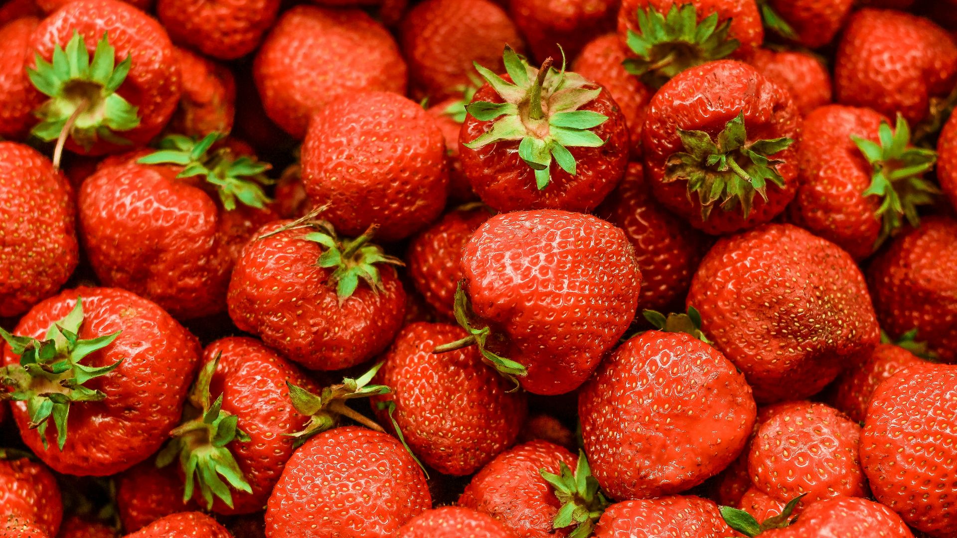 12. Fraises fraîches