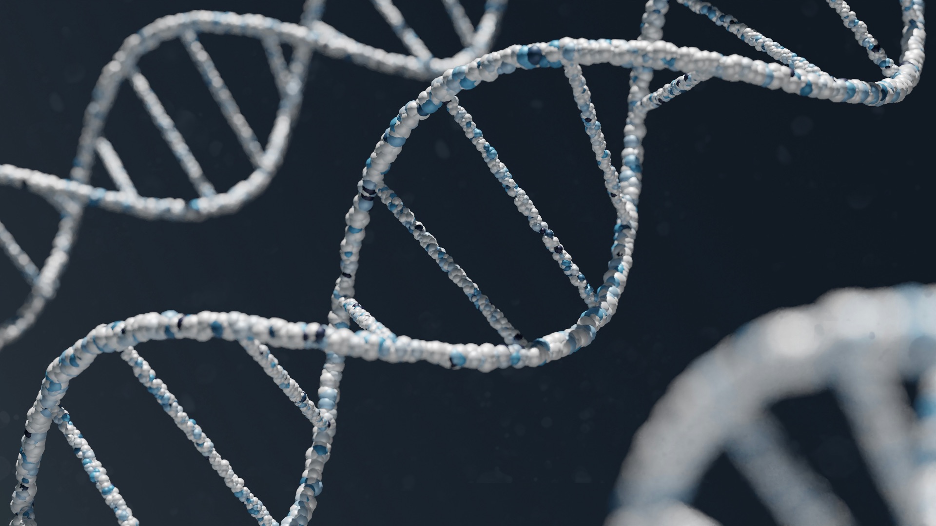 13. Les cellules réparent leur propre ADN