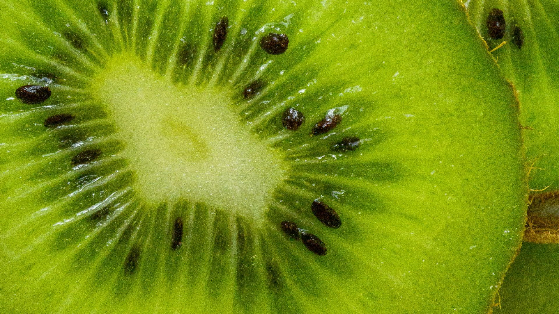 19. Kiwi