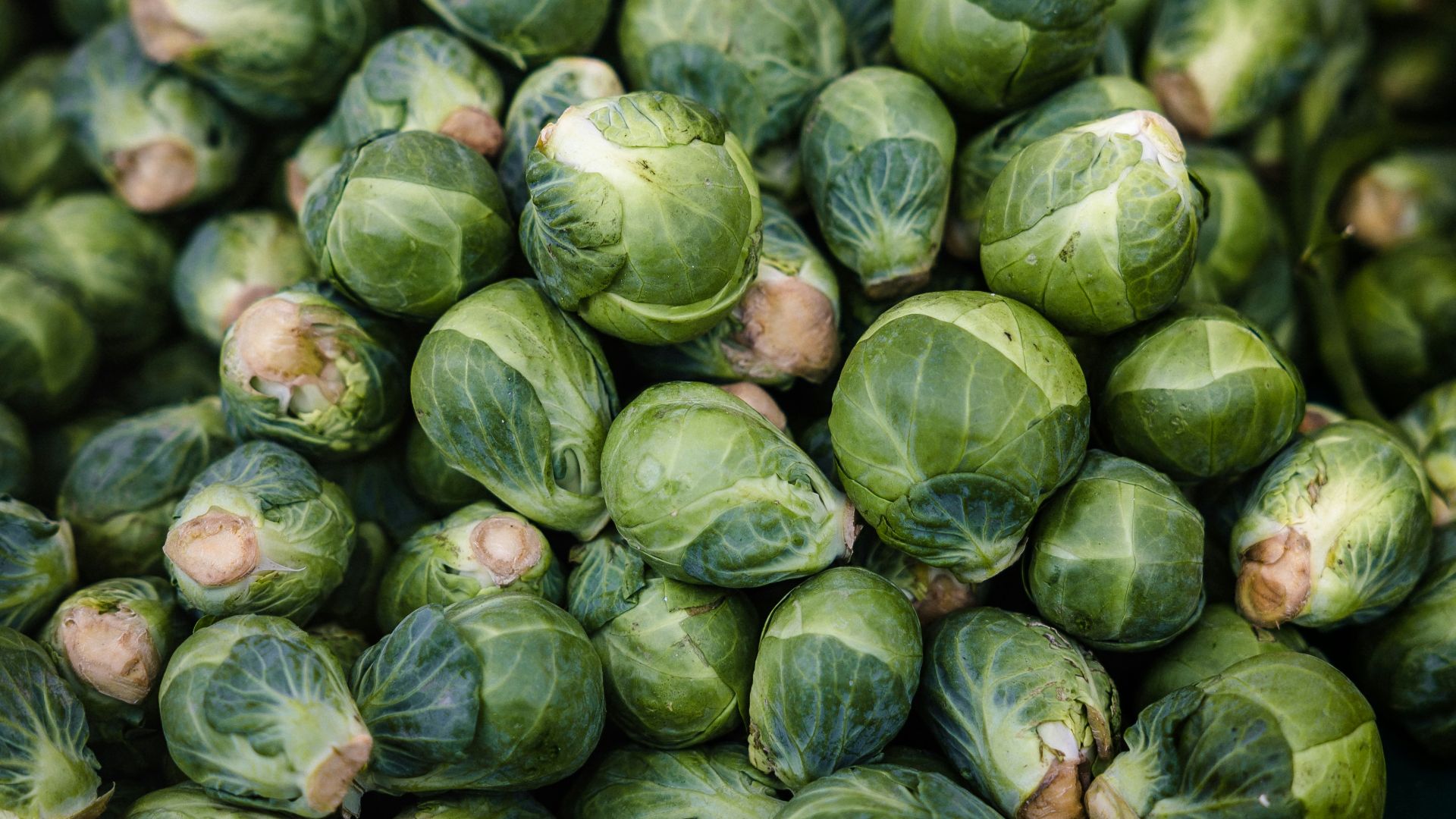 1. Choux de Bruxelles bouillis