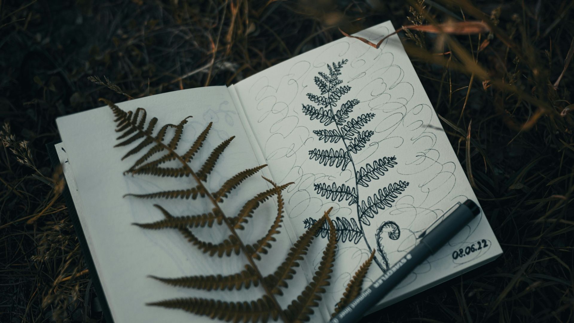 11. Tenez un journal simple sur la nature