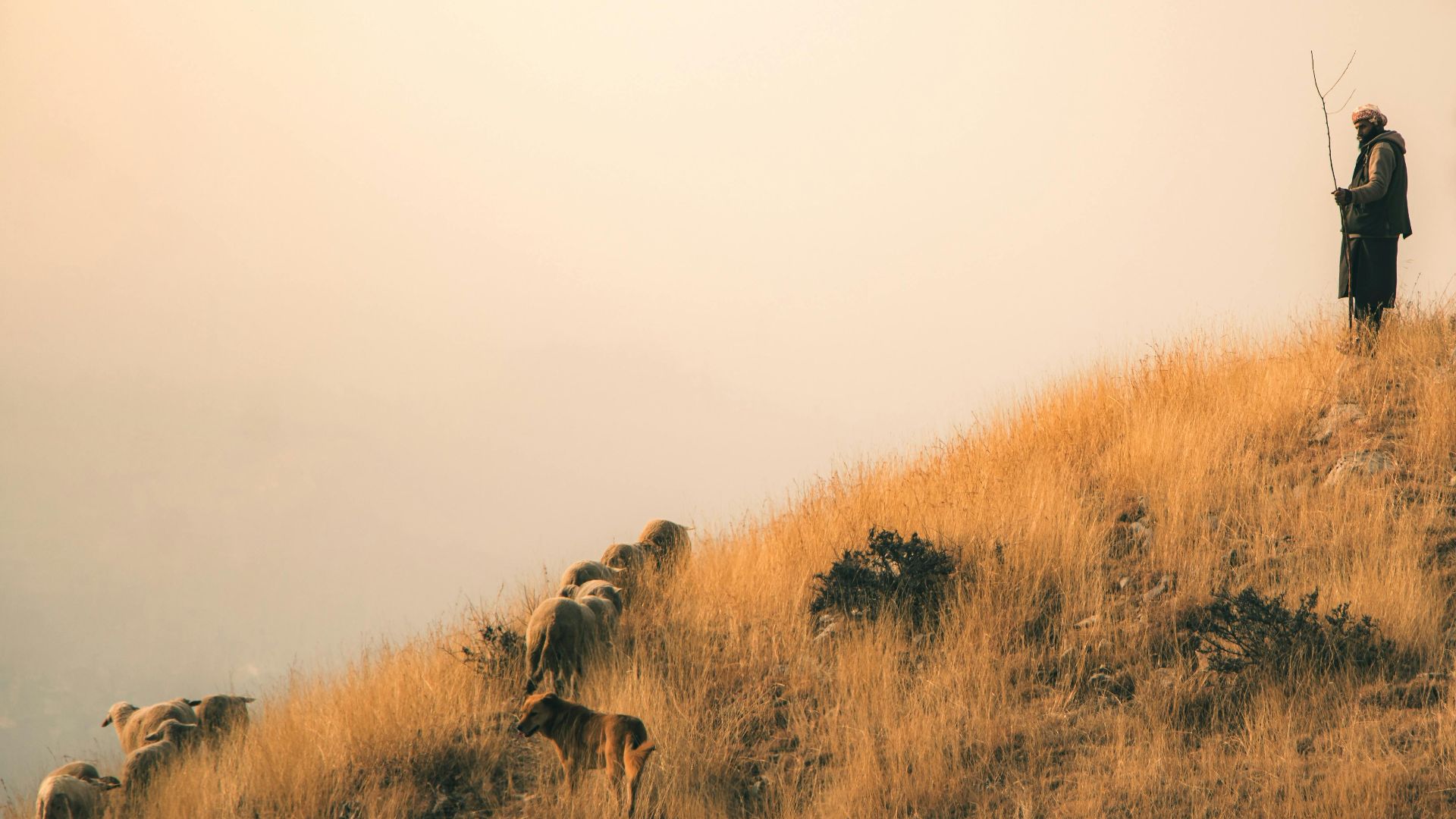 7. Des repas qui varient selon l'endroit