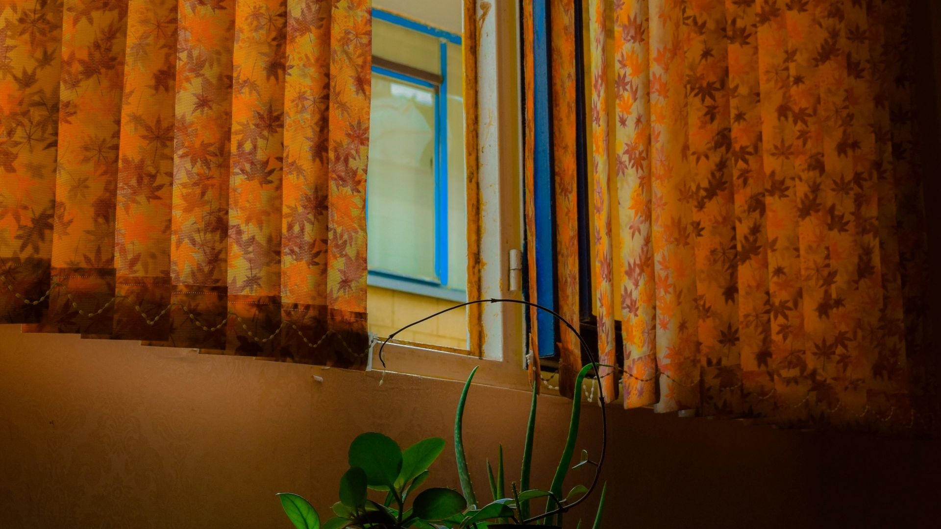 5. Des rideaux accrochés trop bas