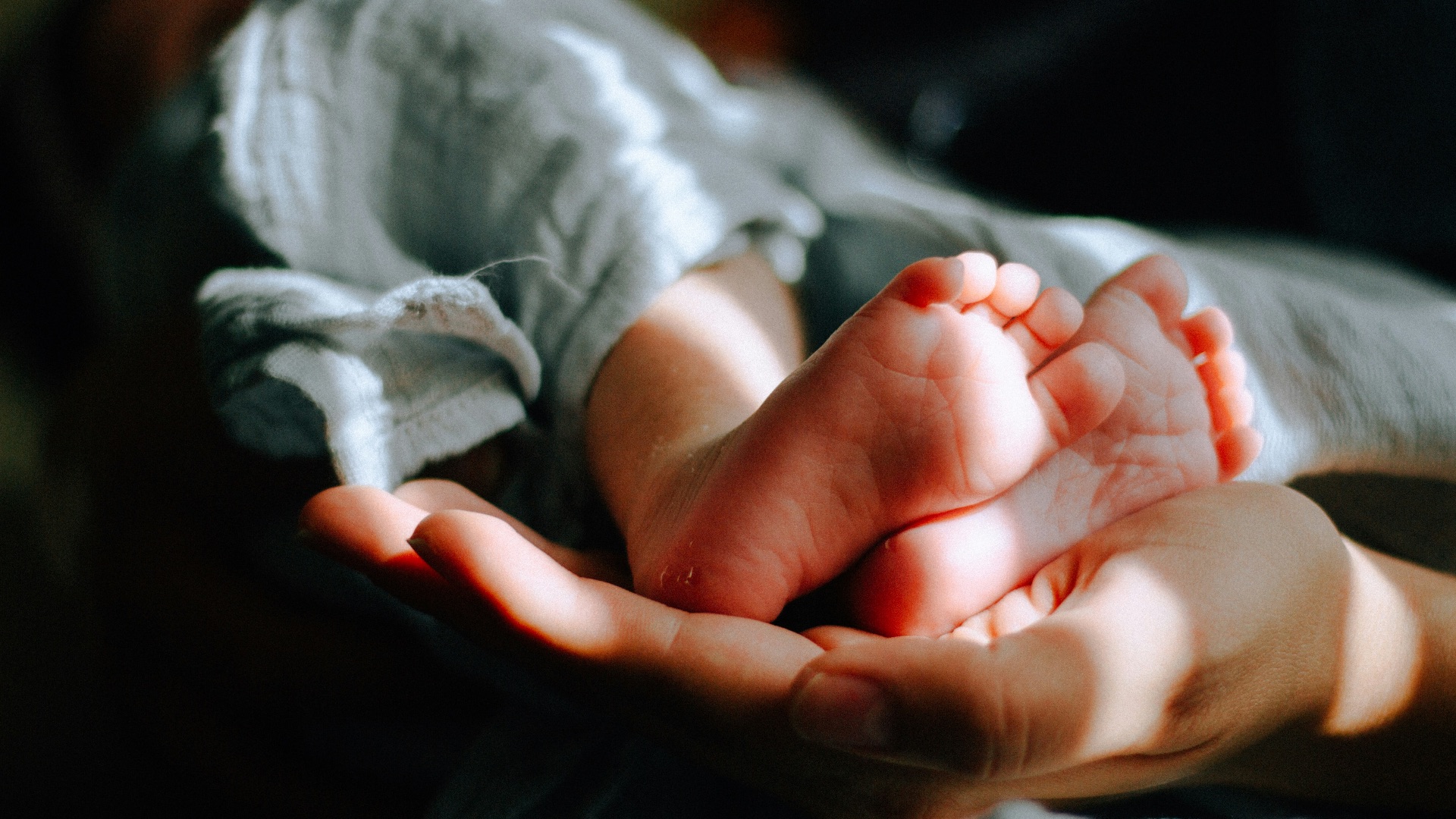 5. Les rythmes biologiques créent une pression