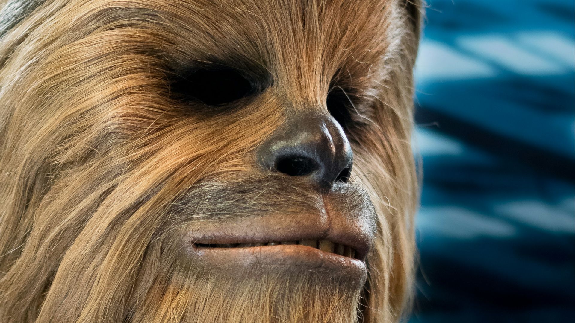 20 personnages de Star Wars qui ne sont jamais apparus au grand écran ...
