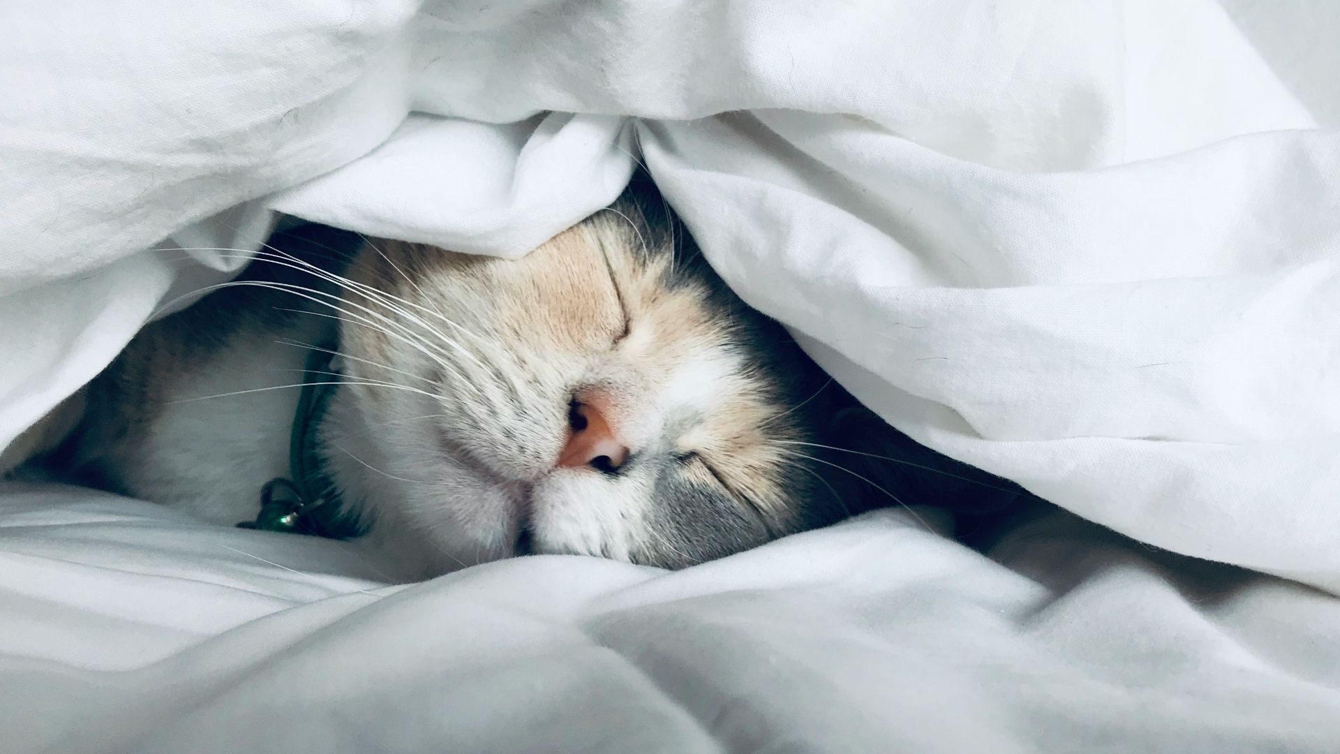 20. Limitez votre consommation de liquides avant de vous coucher