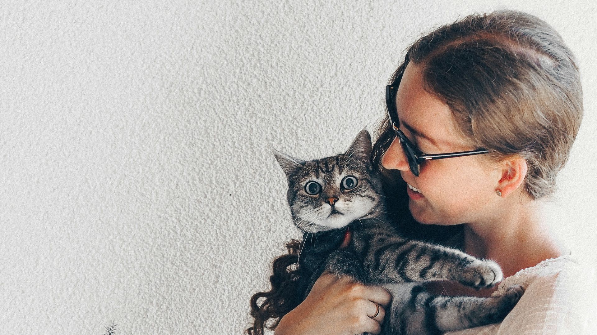 3. Les visiteurs assistent à une séance d'information sur les chats