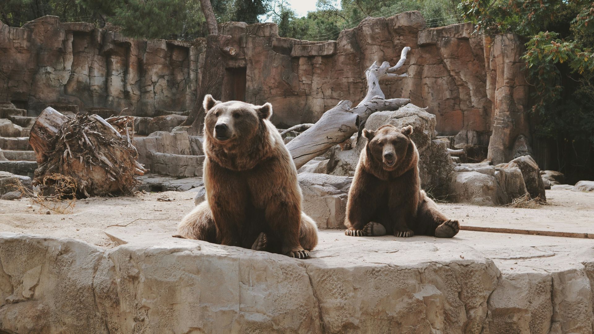 13. Allez au zoo