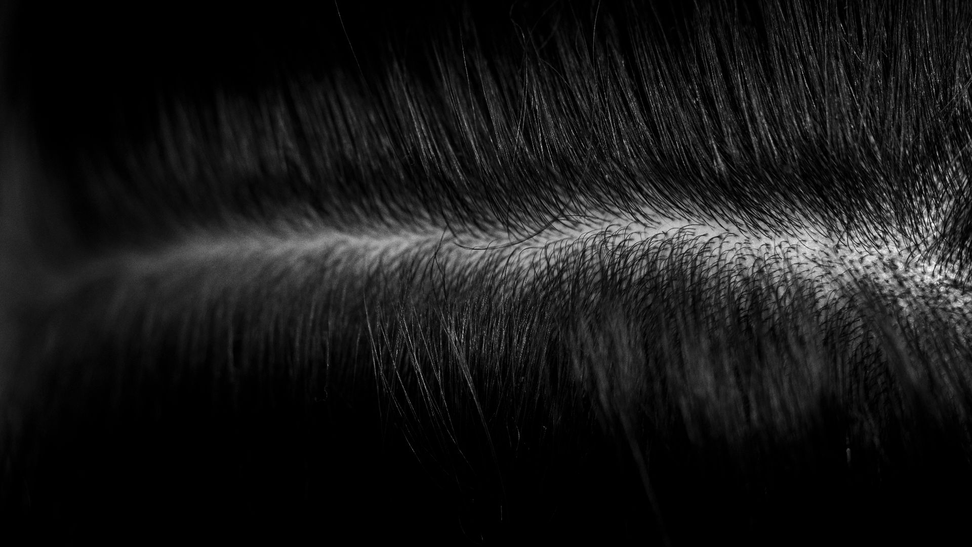 6. Négliger les irritations du cuir chevelu et l'accumulation de résidus