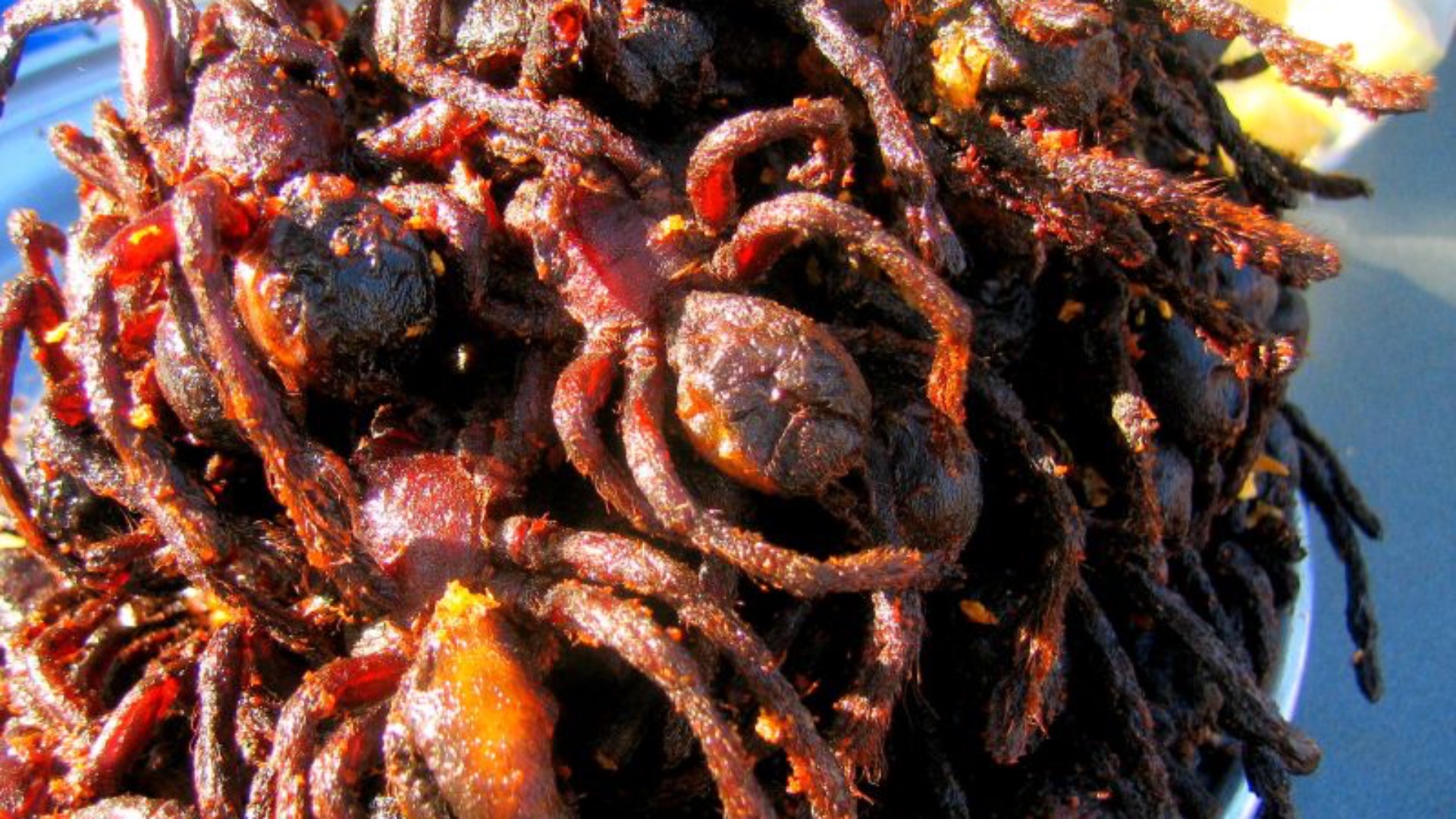 2. Tarentules frites (Cambodge)