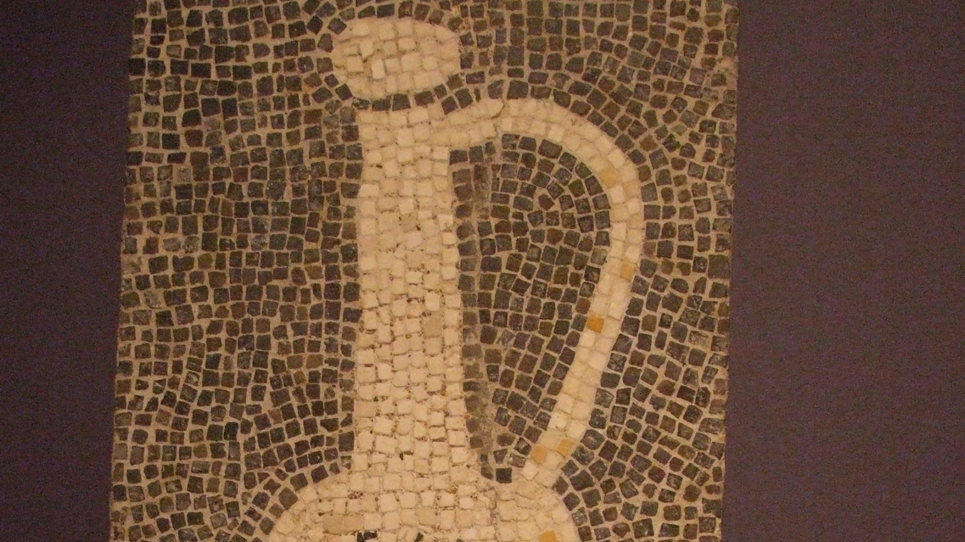 5. Légumes au garum