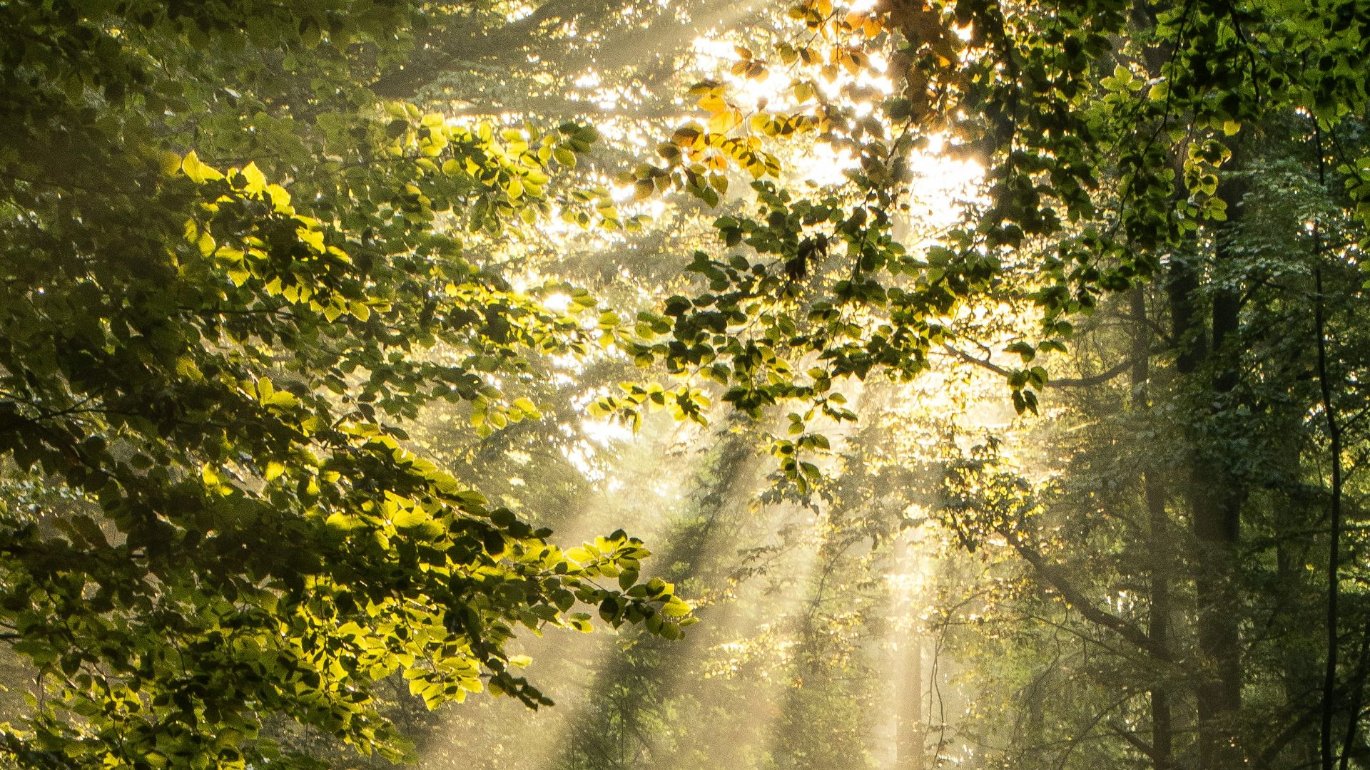 2. Sortez au soleil